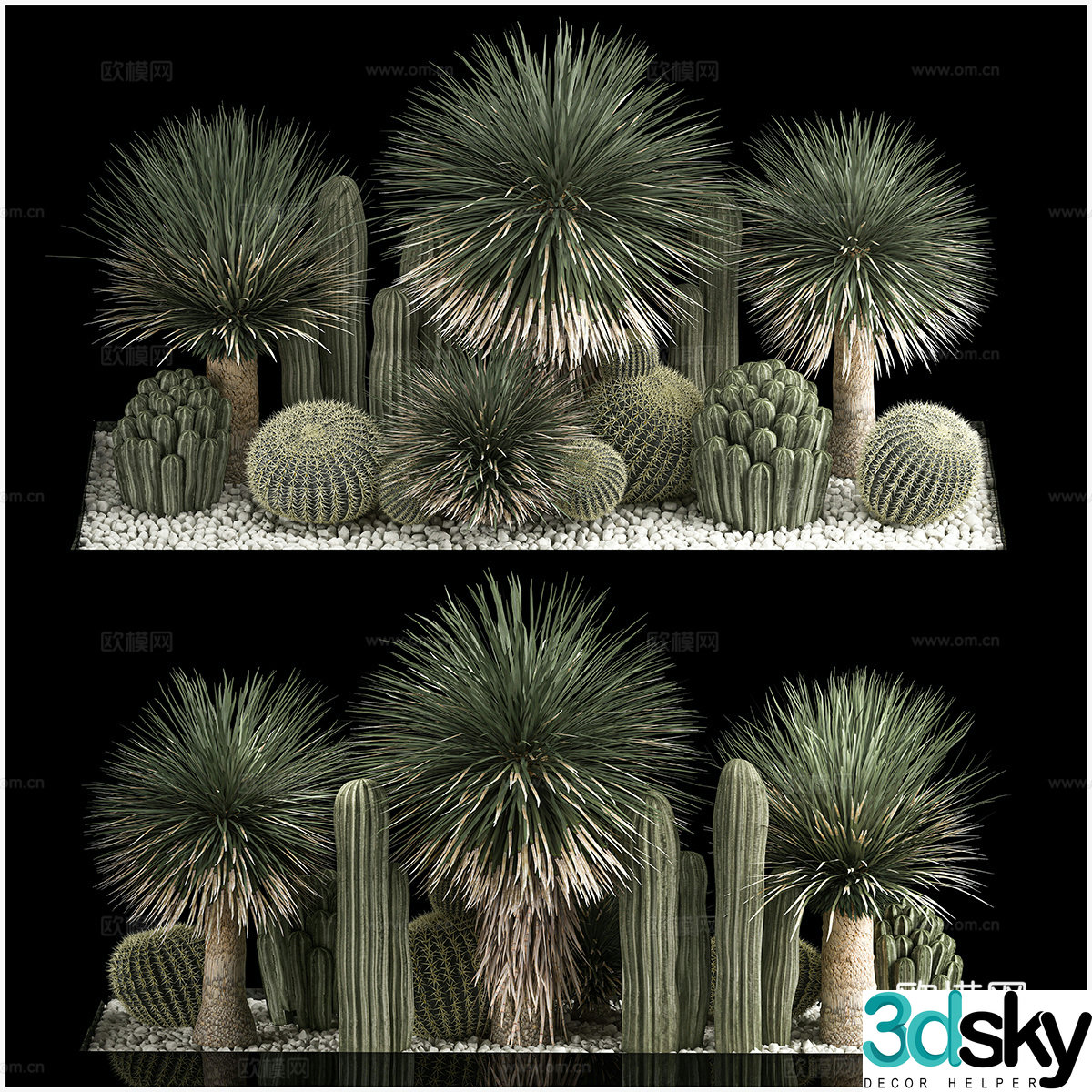 Cactus bonsai landscape 3d model