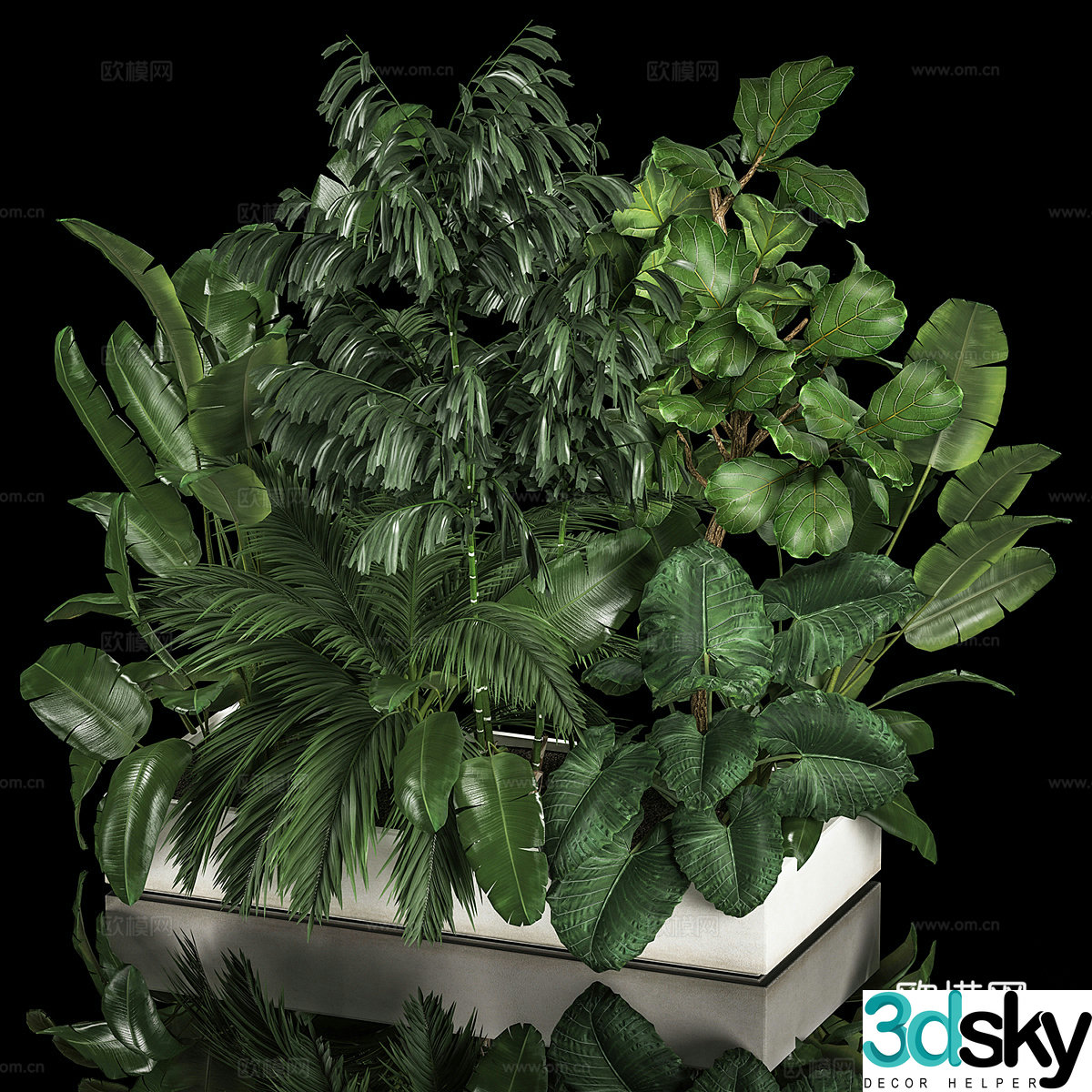 Green plant potted flower box 3D model