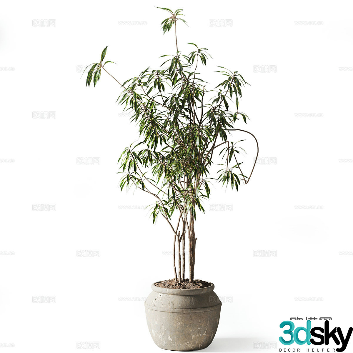 Vase flowers 3d model