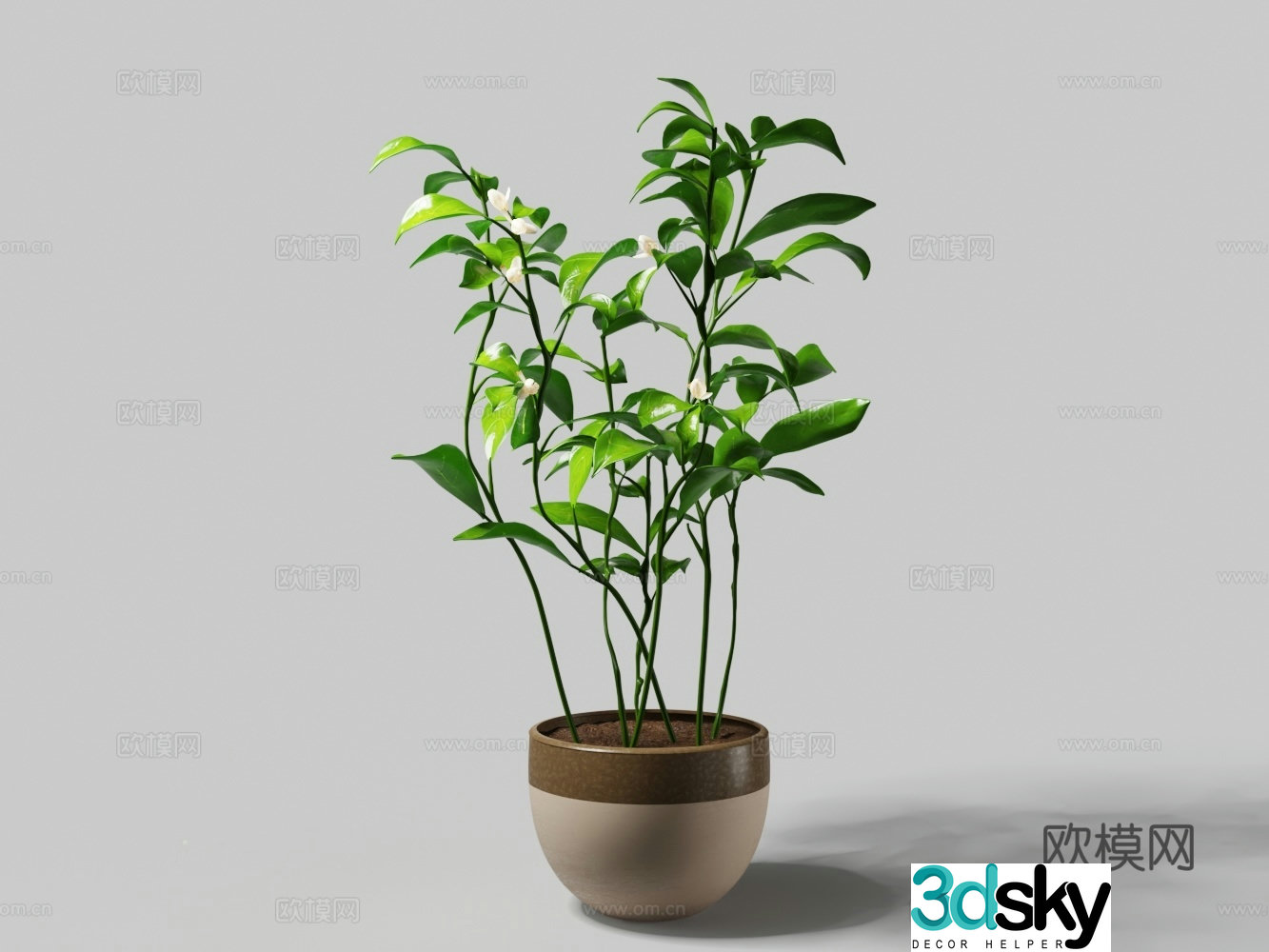 Modern clay flower pot green plant white flower fortune tree pot 3d model