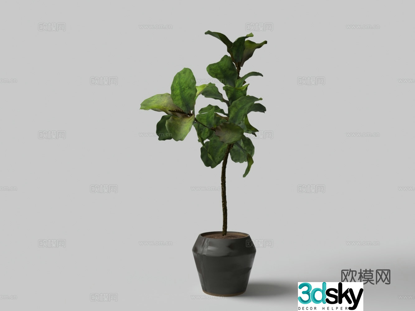 Modern large leaf potted bonsai 3D model