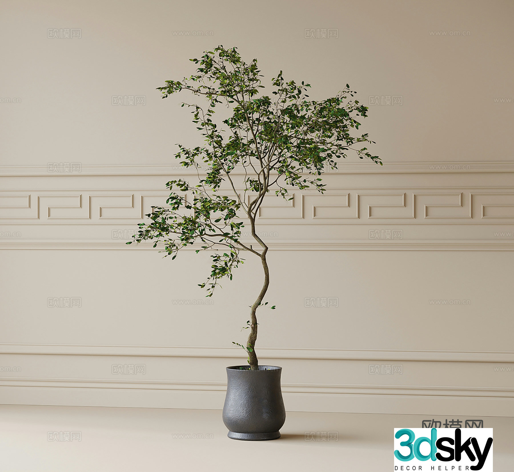 Modern potted plants green plants 3d model