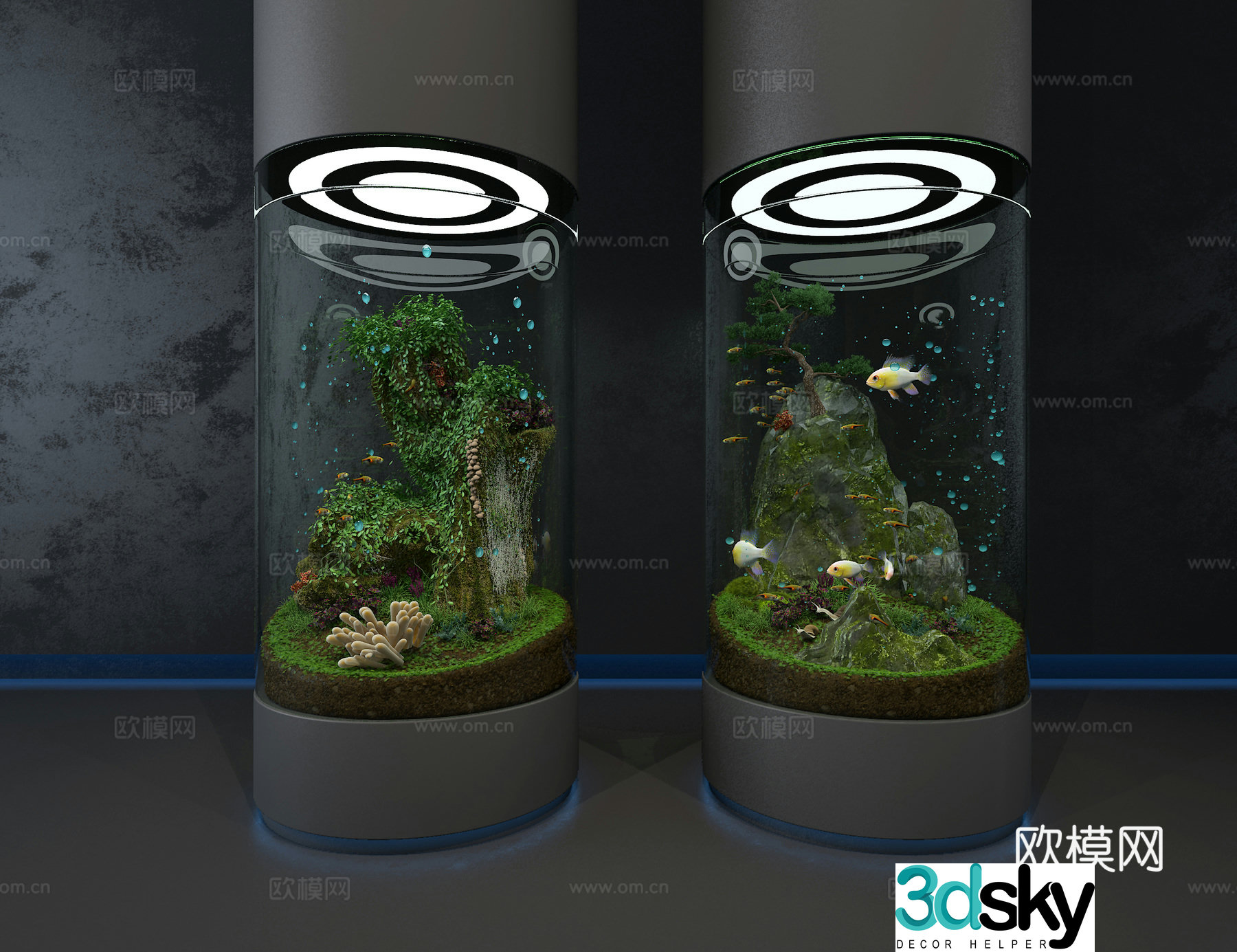 Ecological fish tank 3D model
