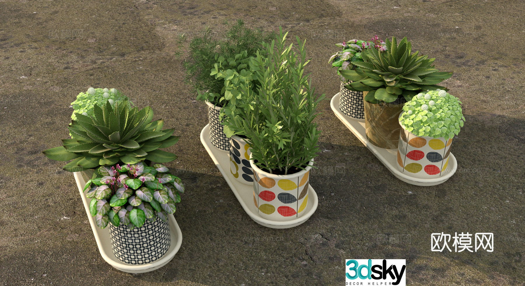 Plant green plants aloe vera 3d model