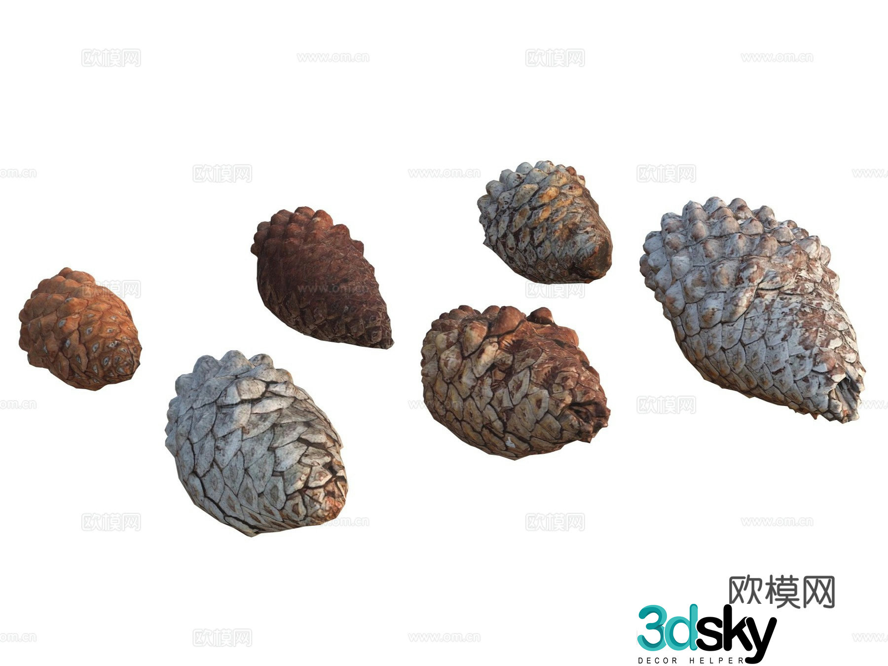 Pine cone 3d model