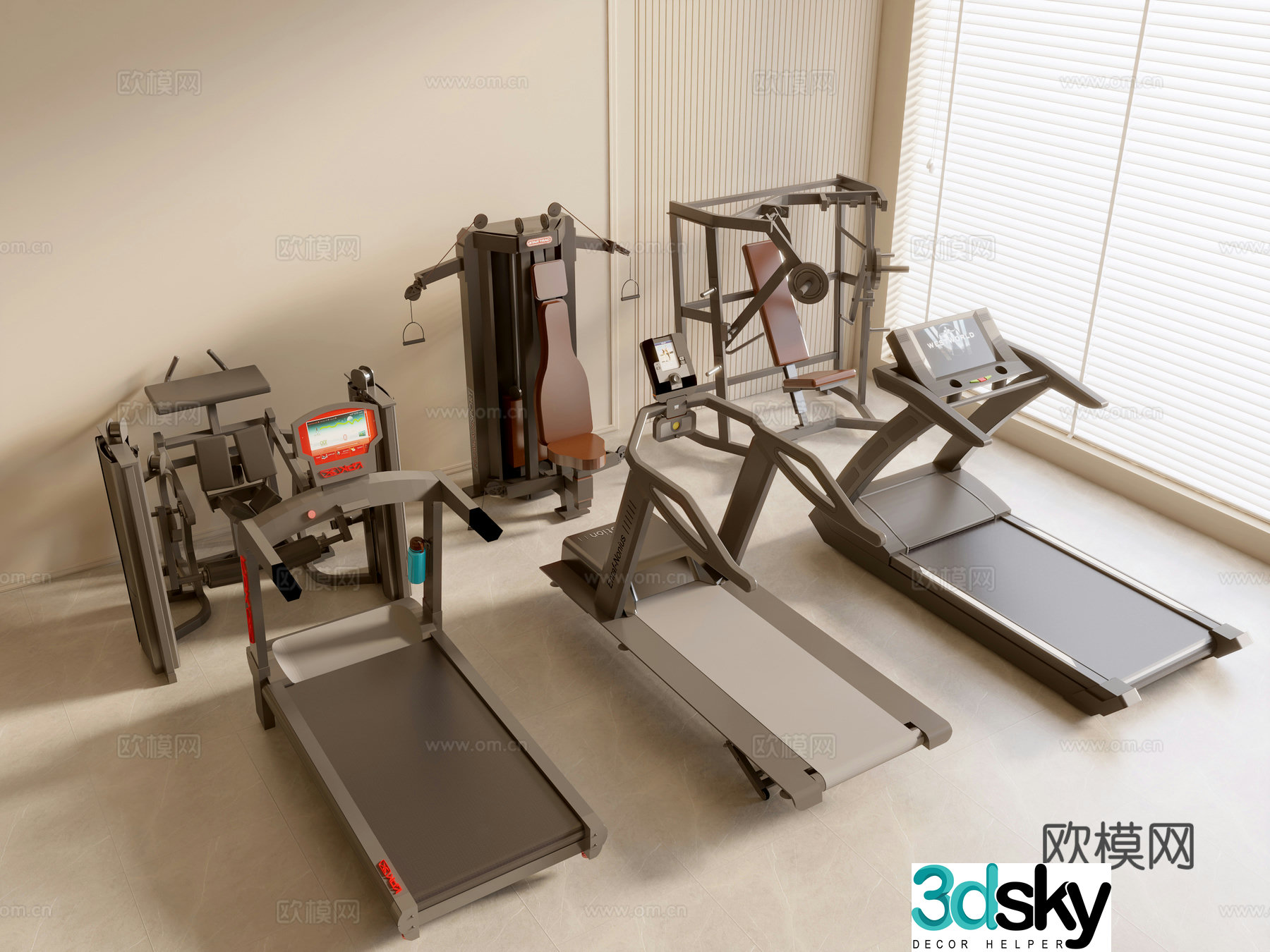 Modern fitness equipment Sports equipment Gym equipment 3d model