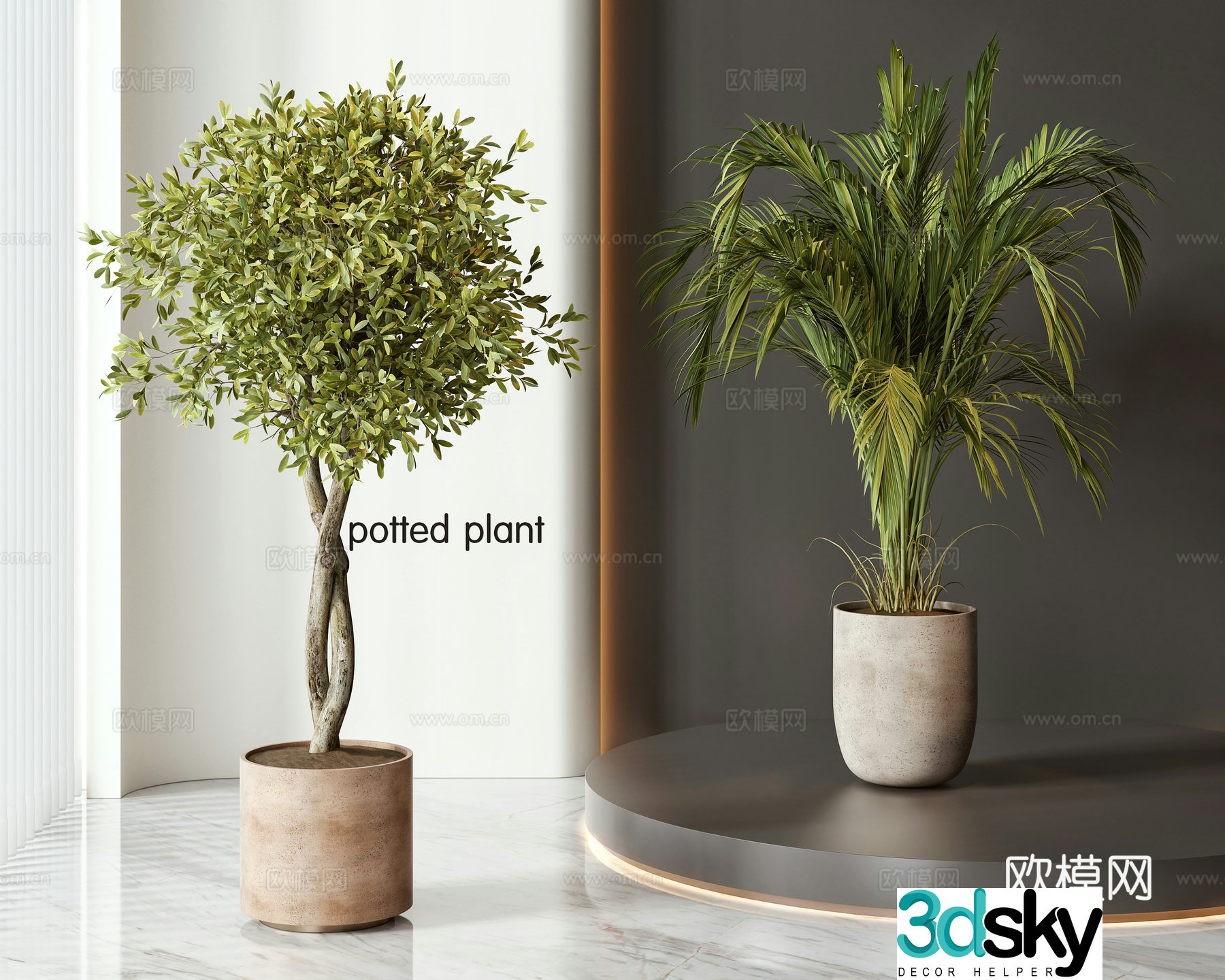 Modern potted bonsai green plant combination 3D model