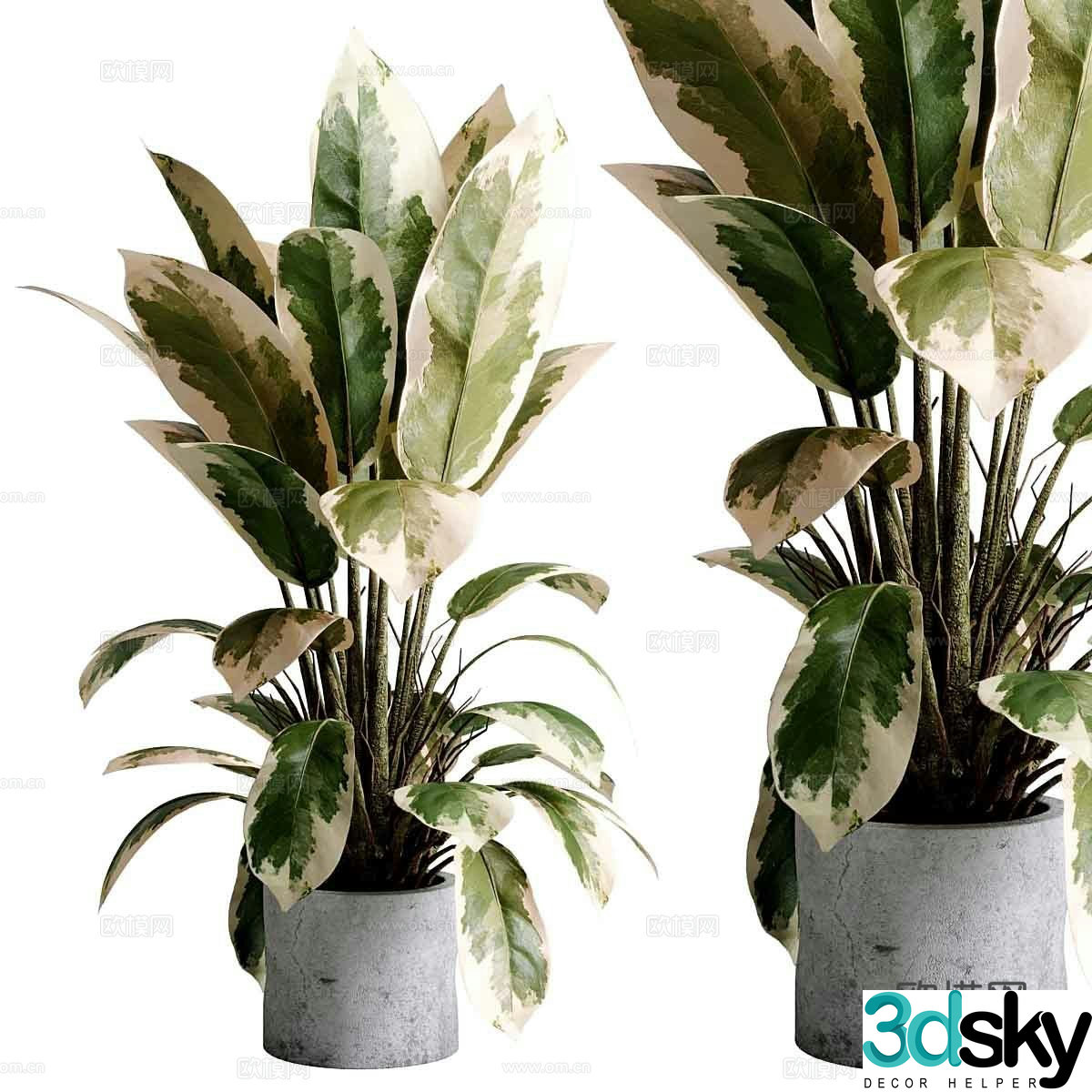 Modern green plant potted 3D model