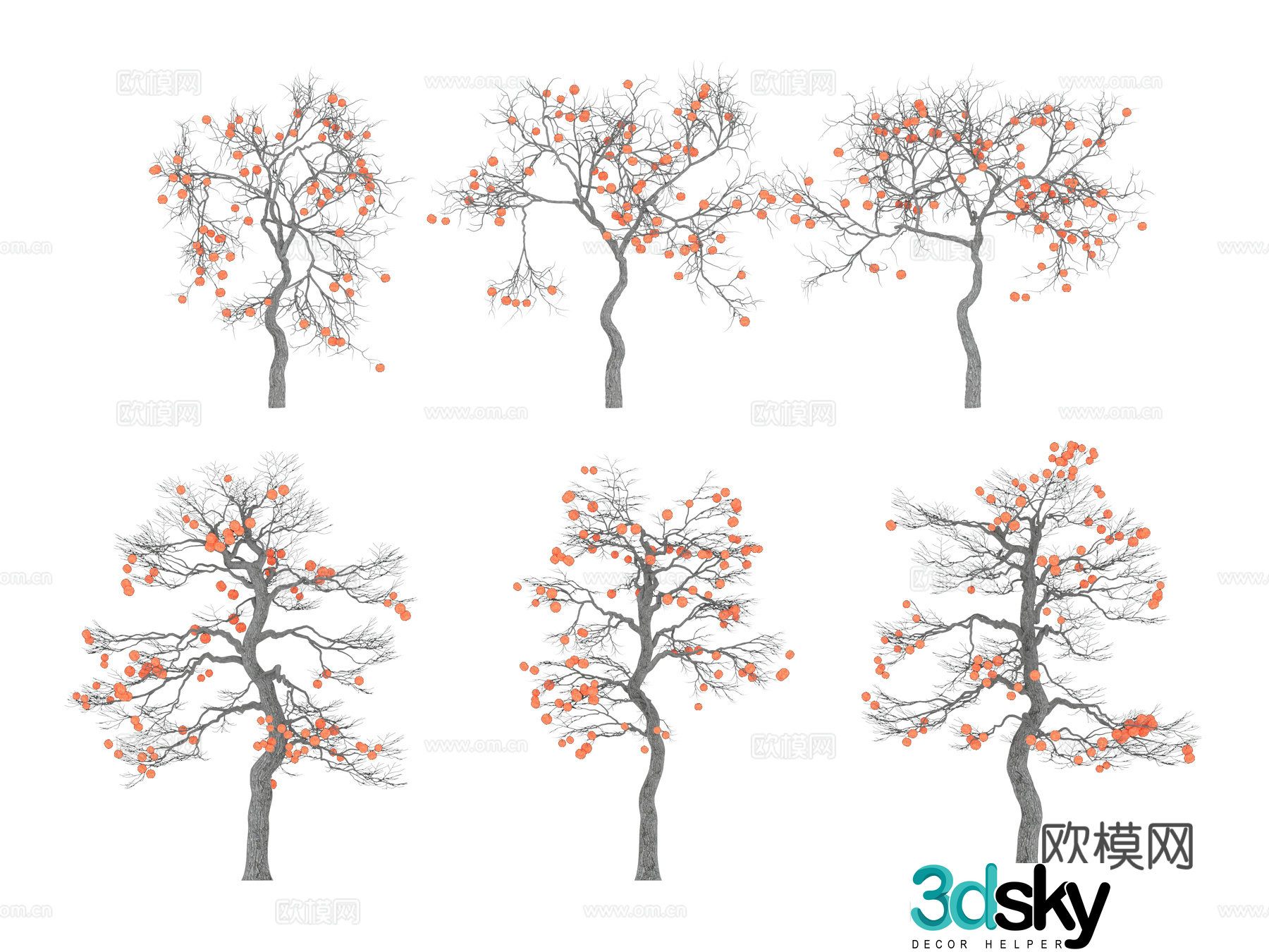 Modern tree Street tree Landscape tree Fruit tree Persimmon tree Winter leafless persimmon tree combination 3D model