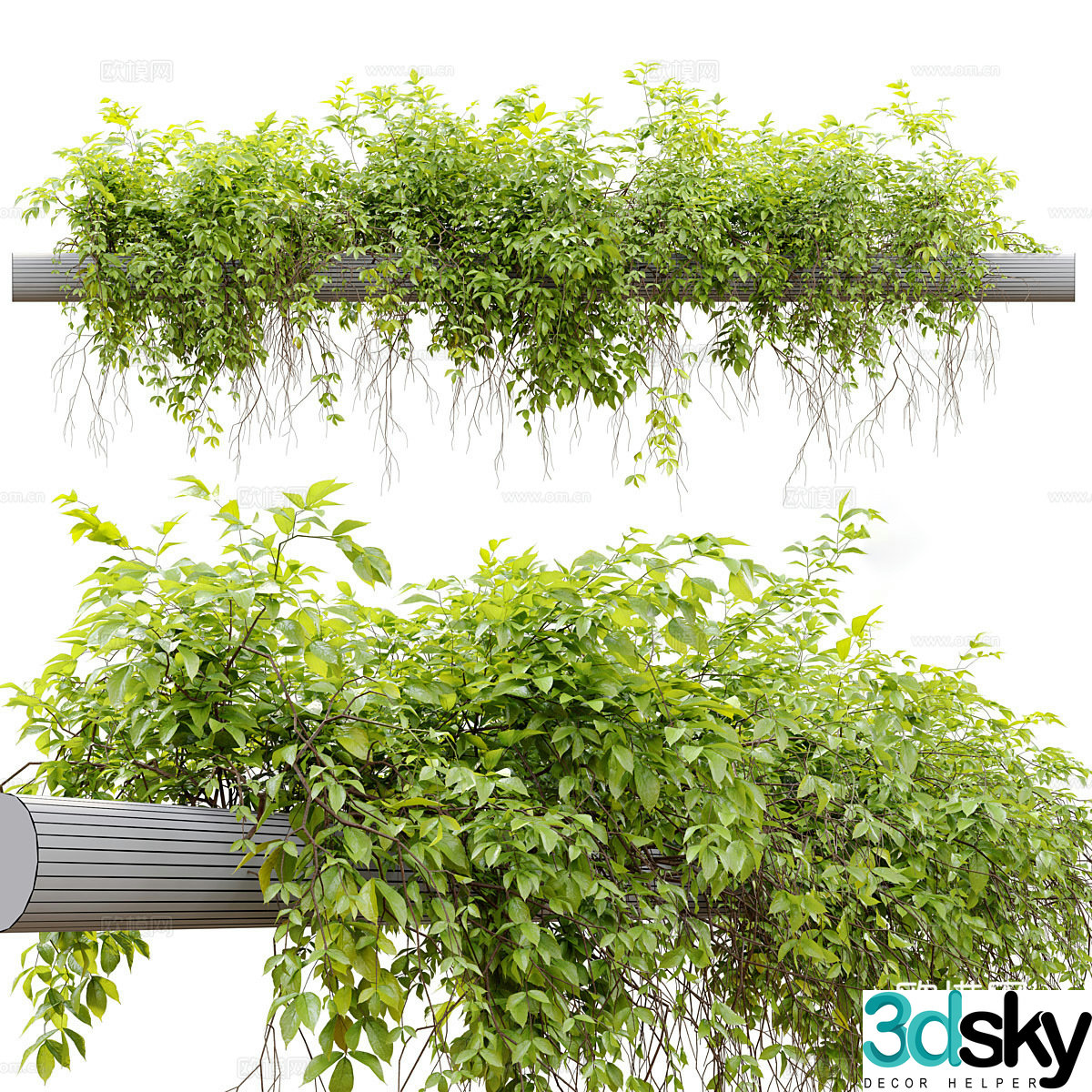 Vine Man hanging basket hanging plant 3d model
