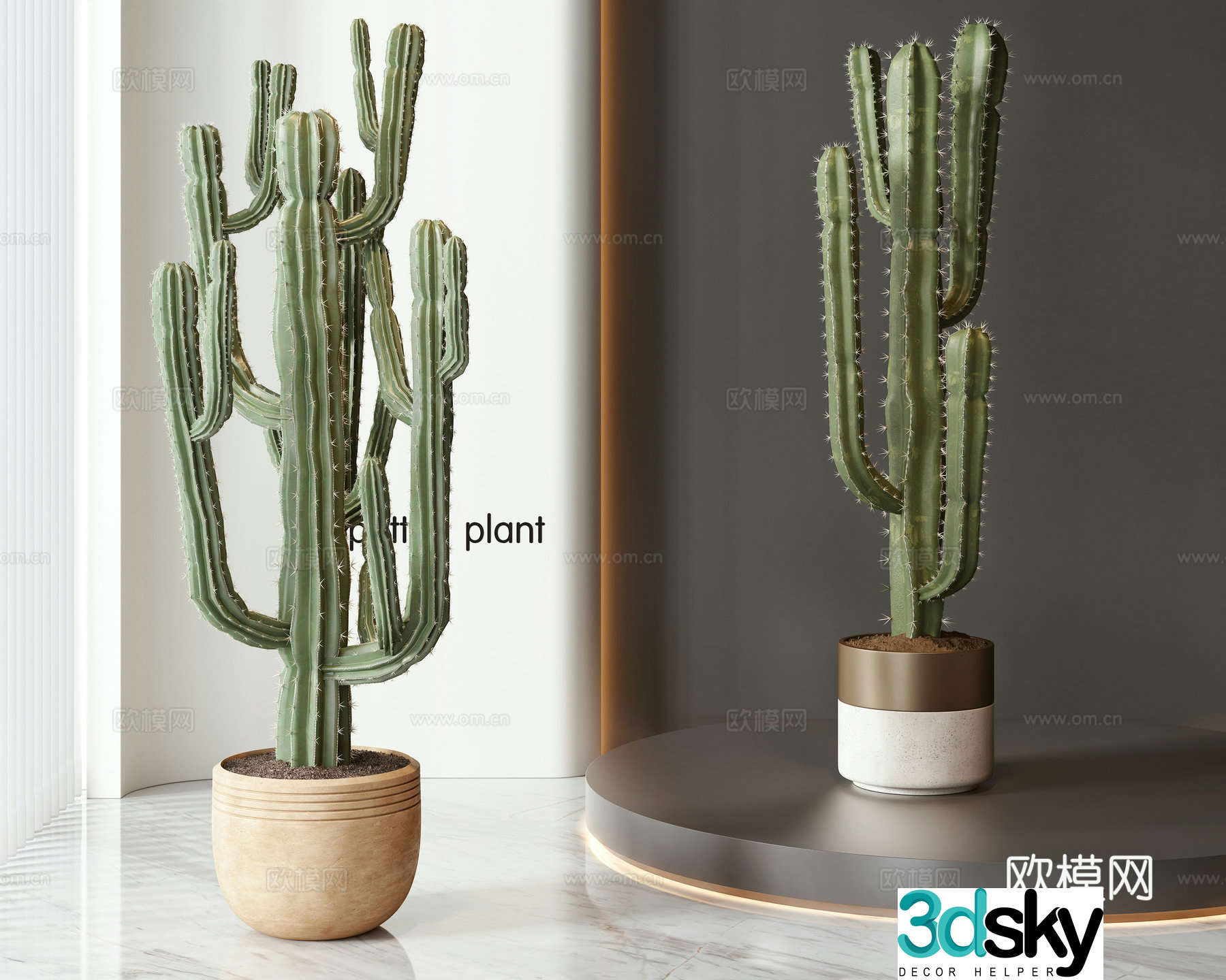 Modern potted bonsai combination 3D model