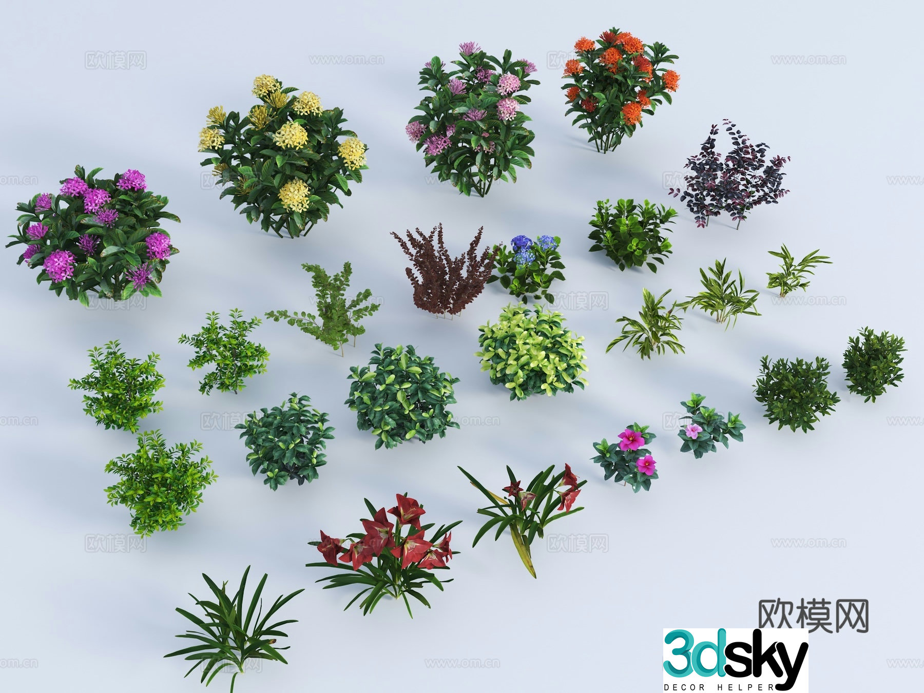 Modern flowers Modern shrub Green belt shrub Flowers Shrub Hedge Shrub Shrub 3d model