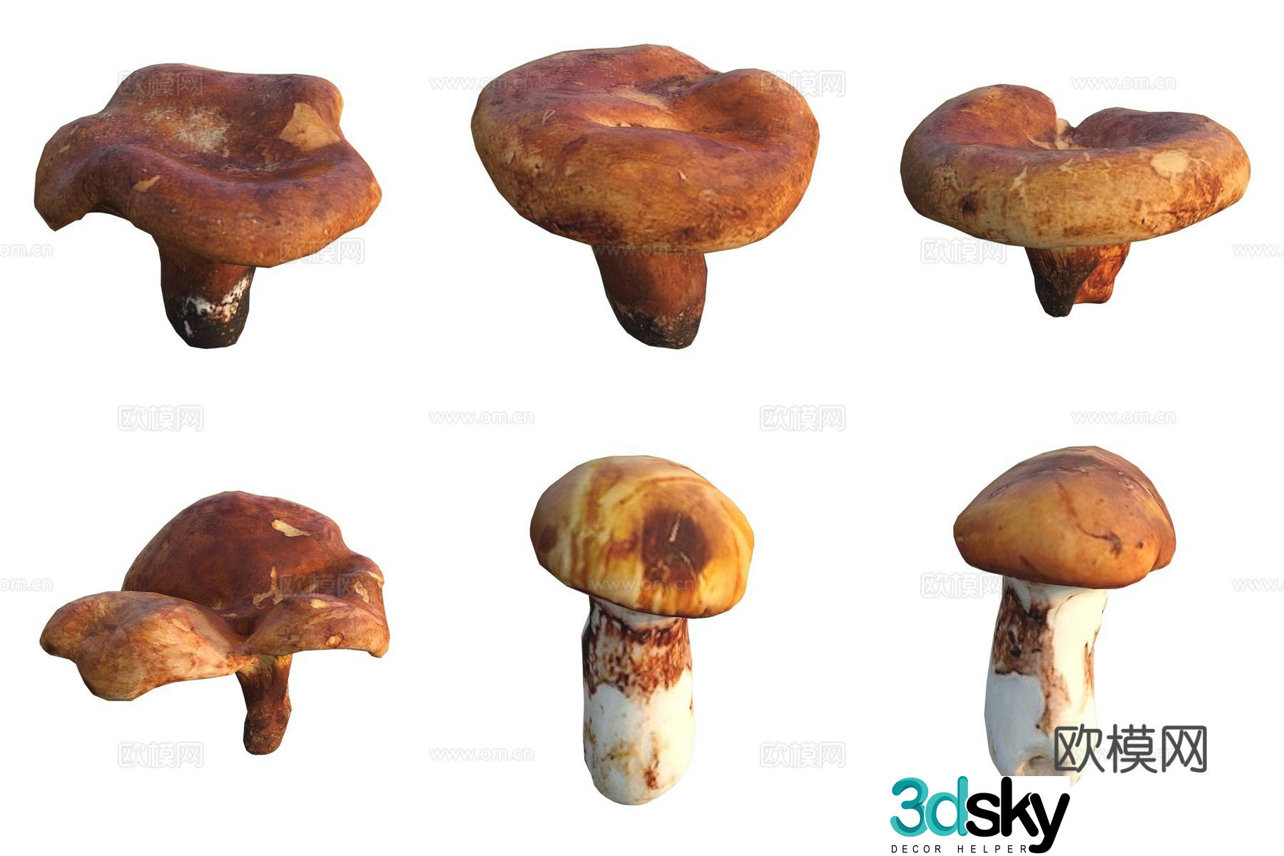 Mushroom fungi 3D model