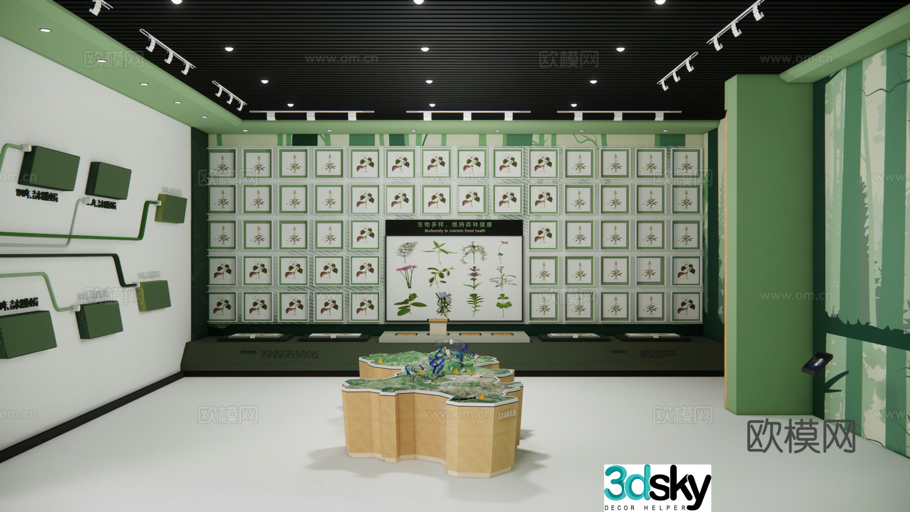 Modern Specimen Exhibition Hall Plant Medicinal Specimen 3D Model