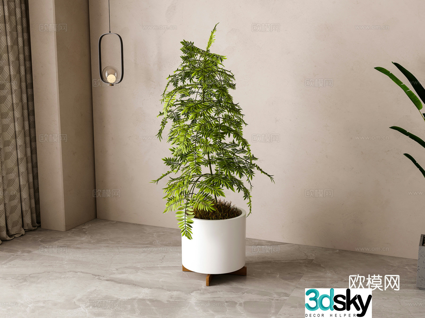 Modern green plant potted 3D model