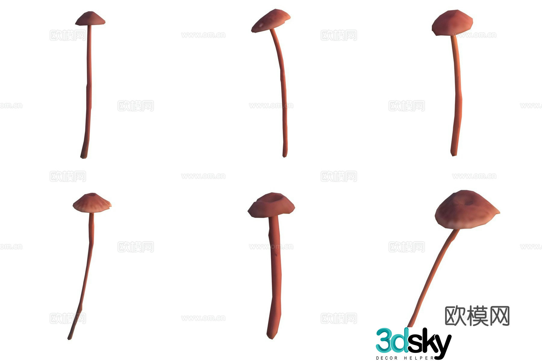 Mushroom fungi 3D model