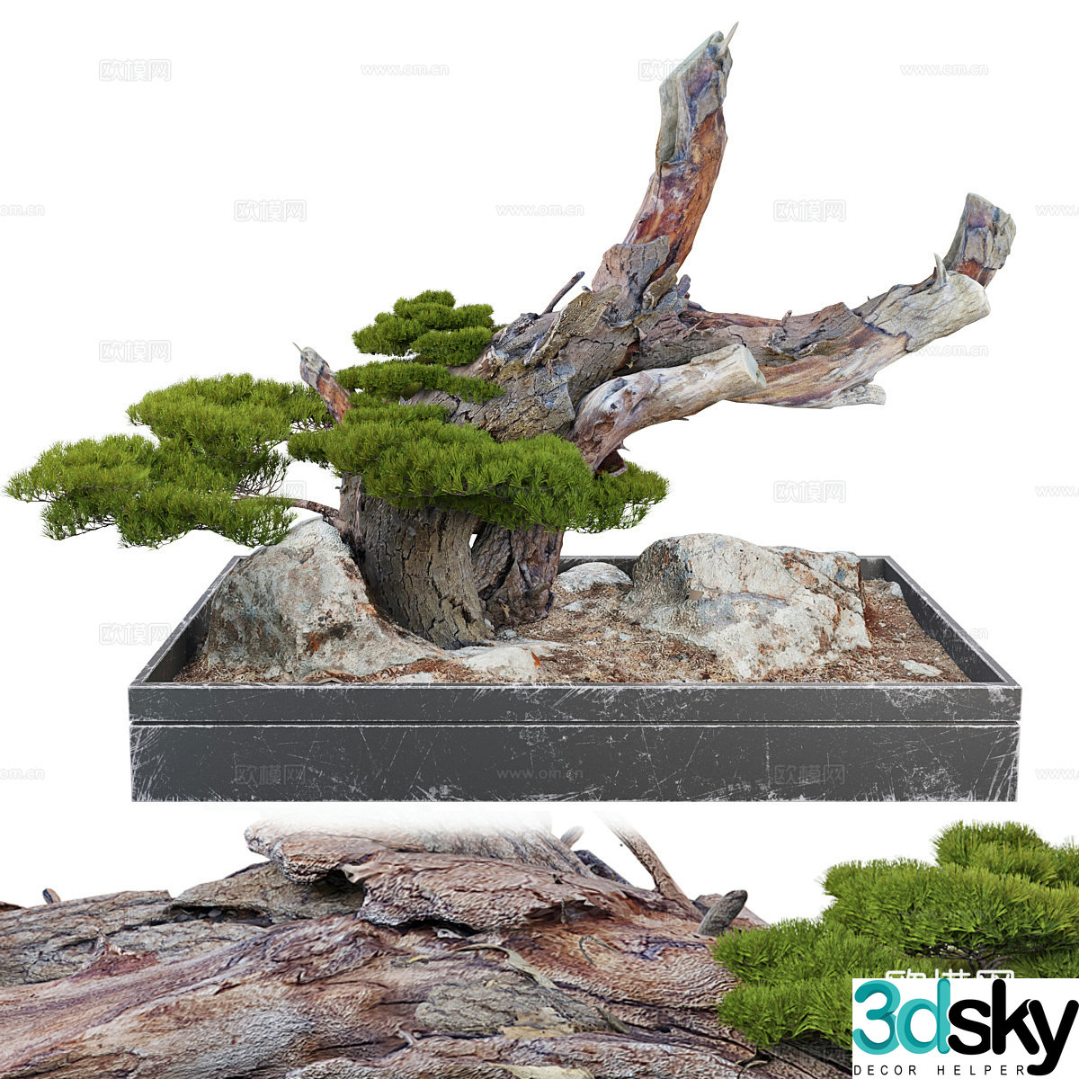 Bonsai landscape 3d model