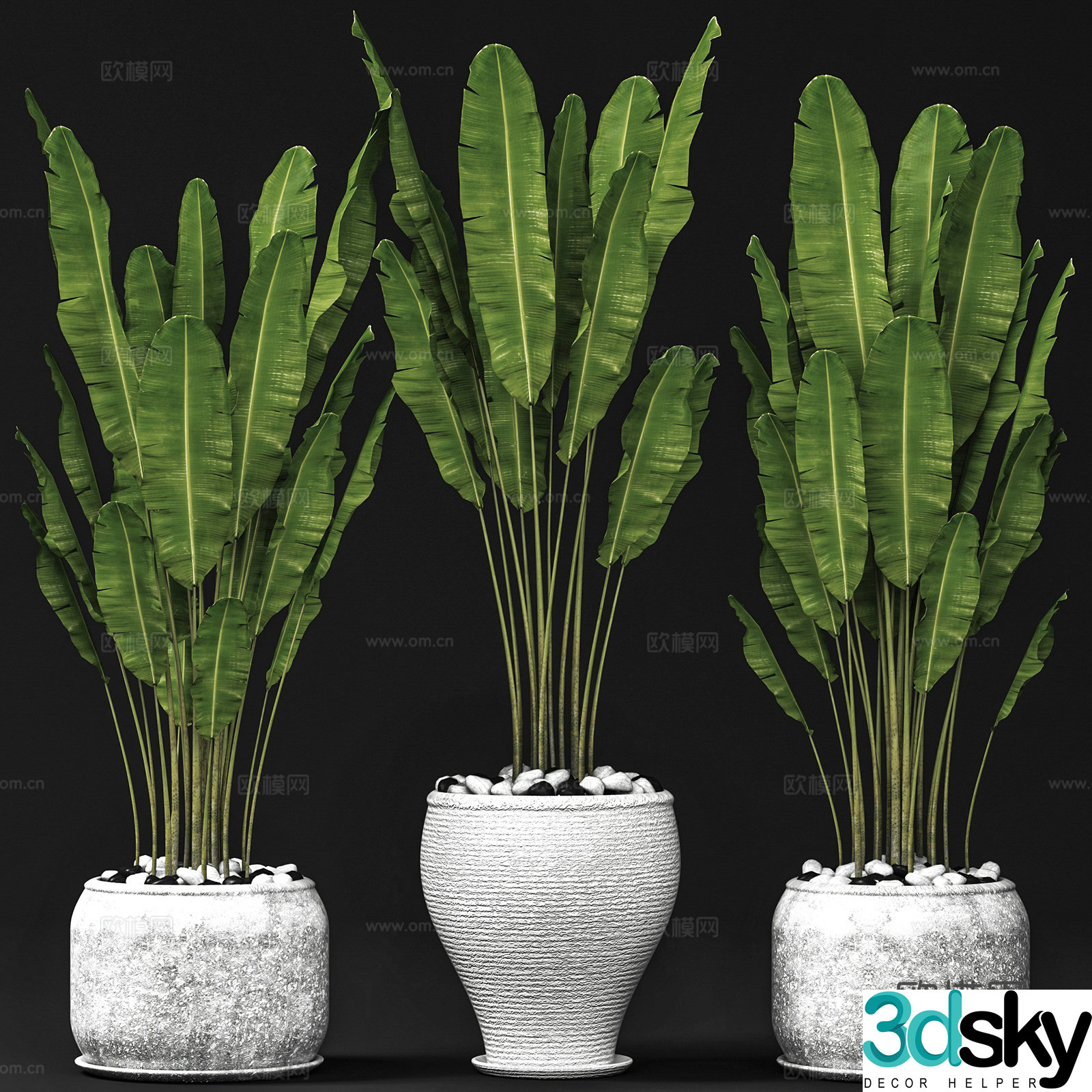 Green plant potted 3D model