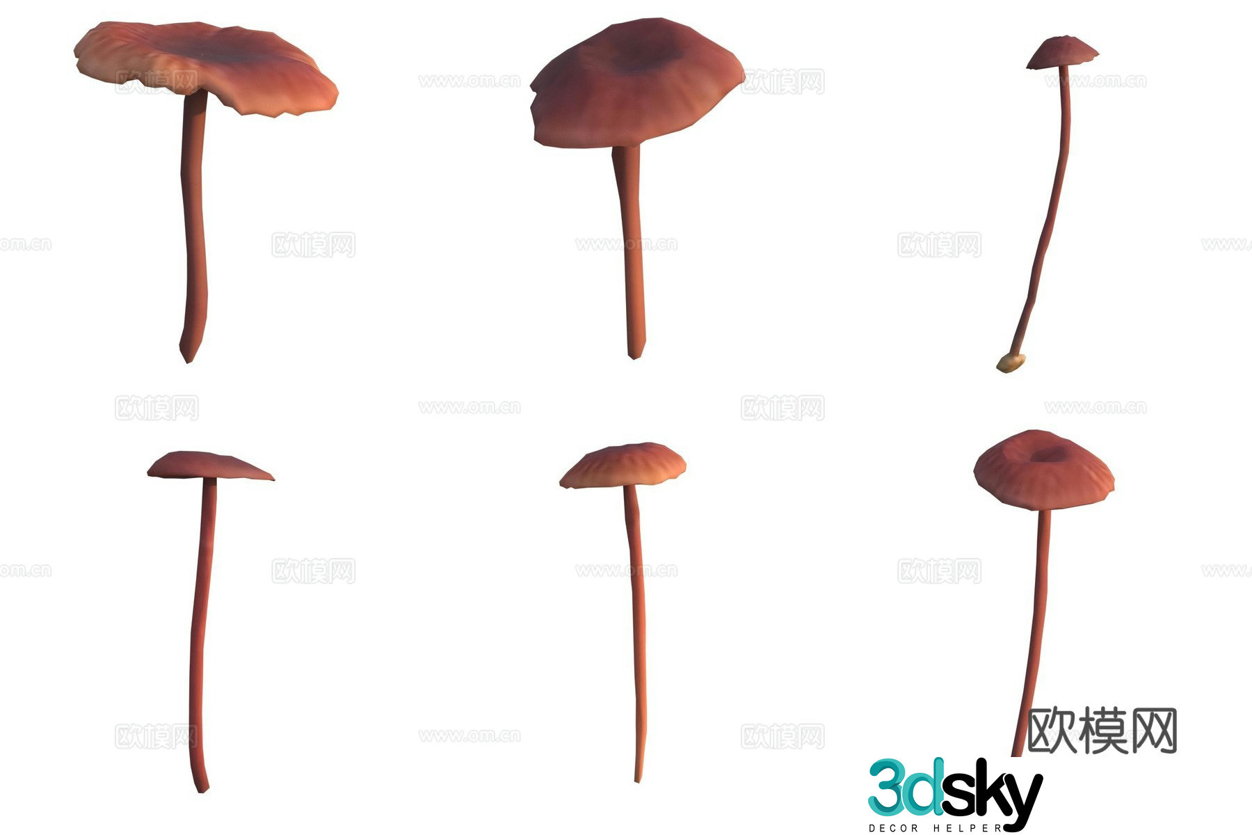 Mushroom fungi 3D model