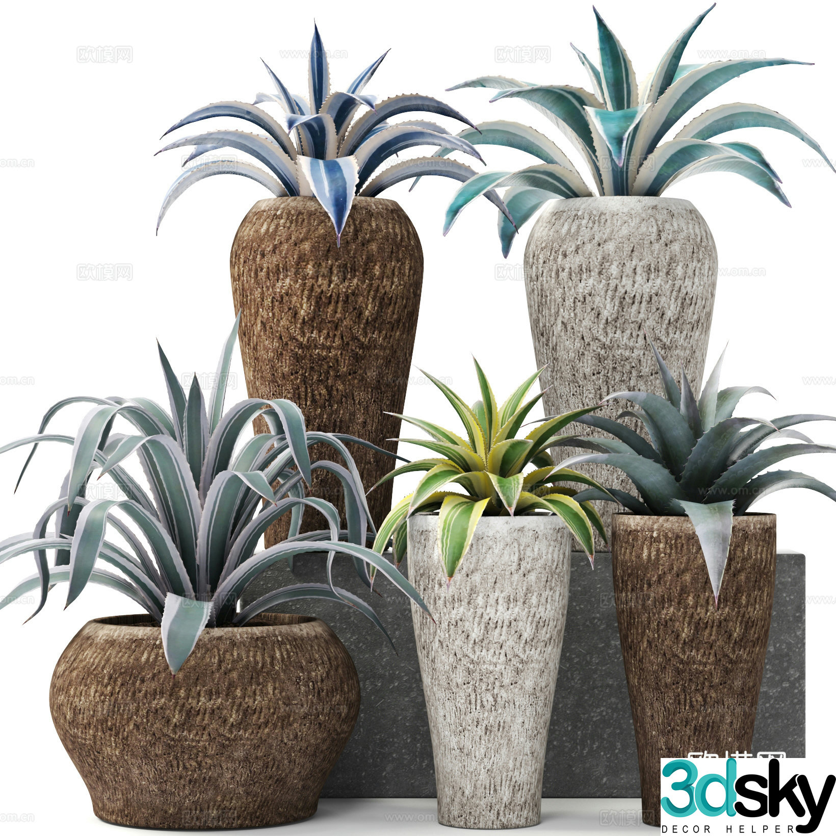 Agave potted plant 3d model