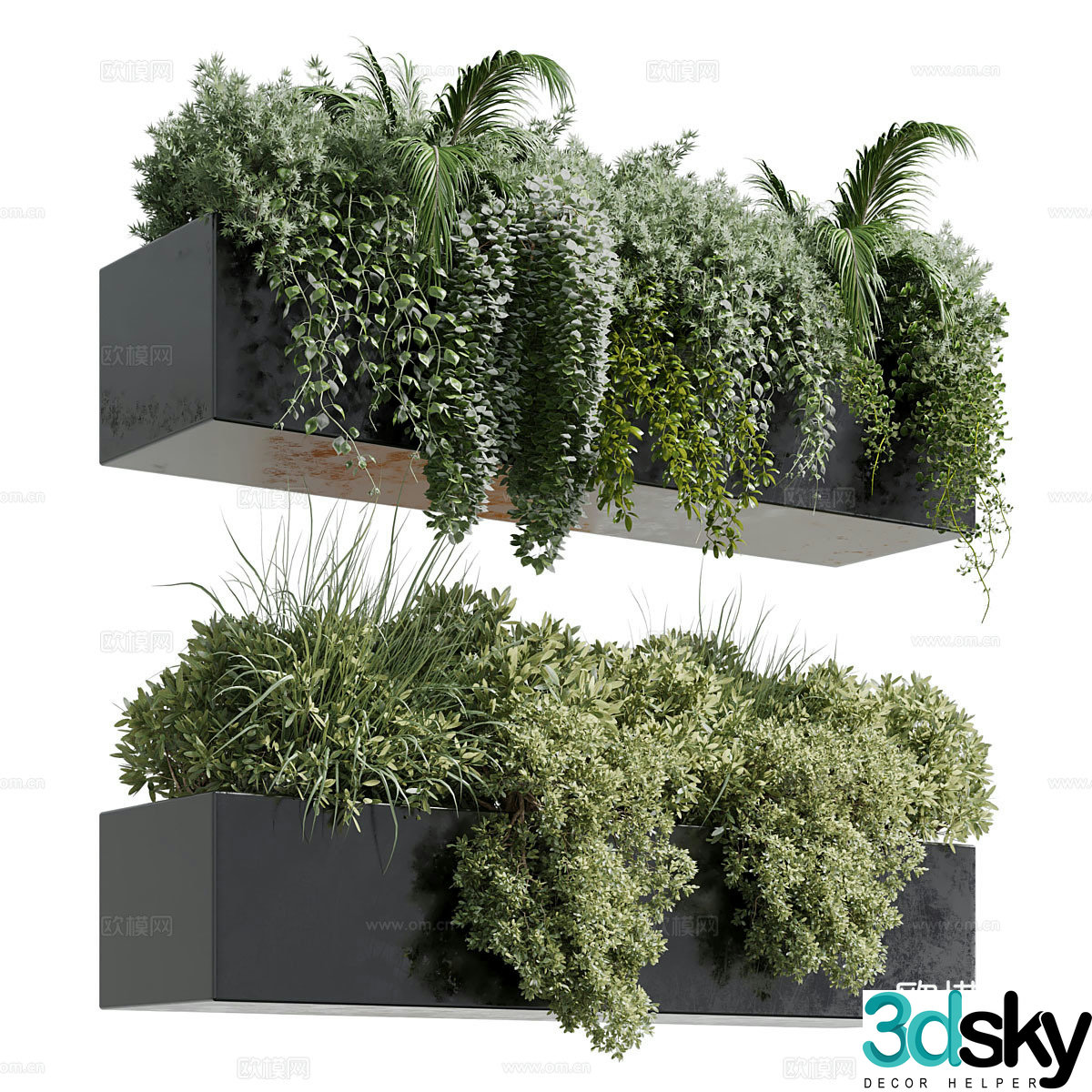 Hanging plant 3d model