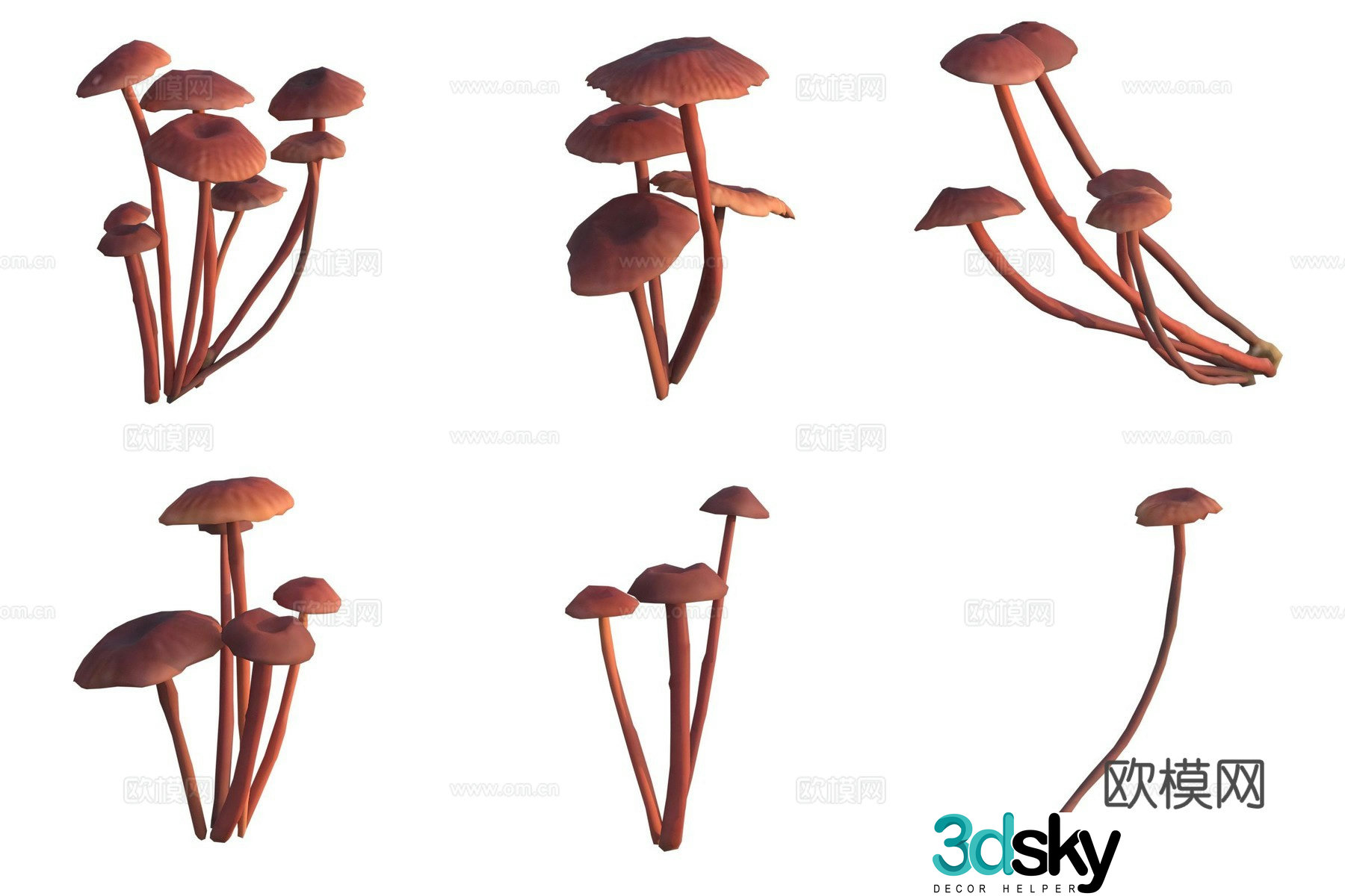 Mushroom fungi 3D model