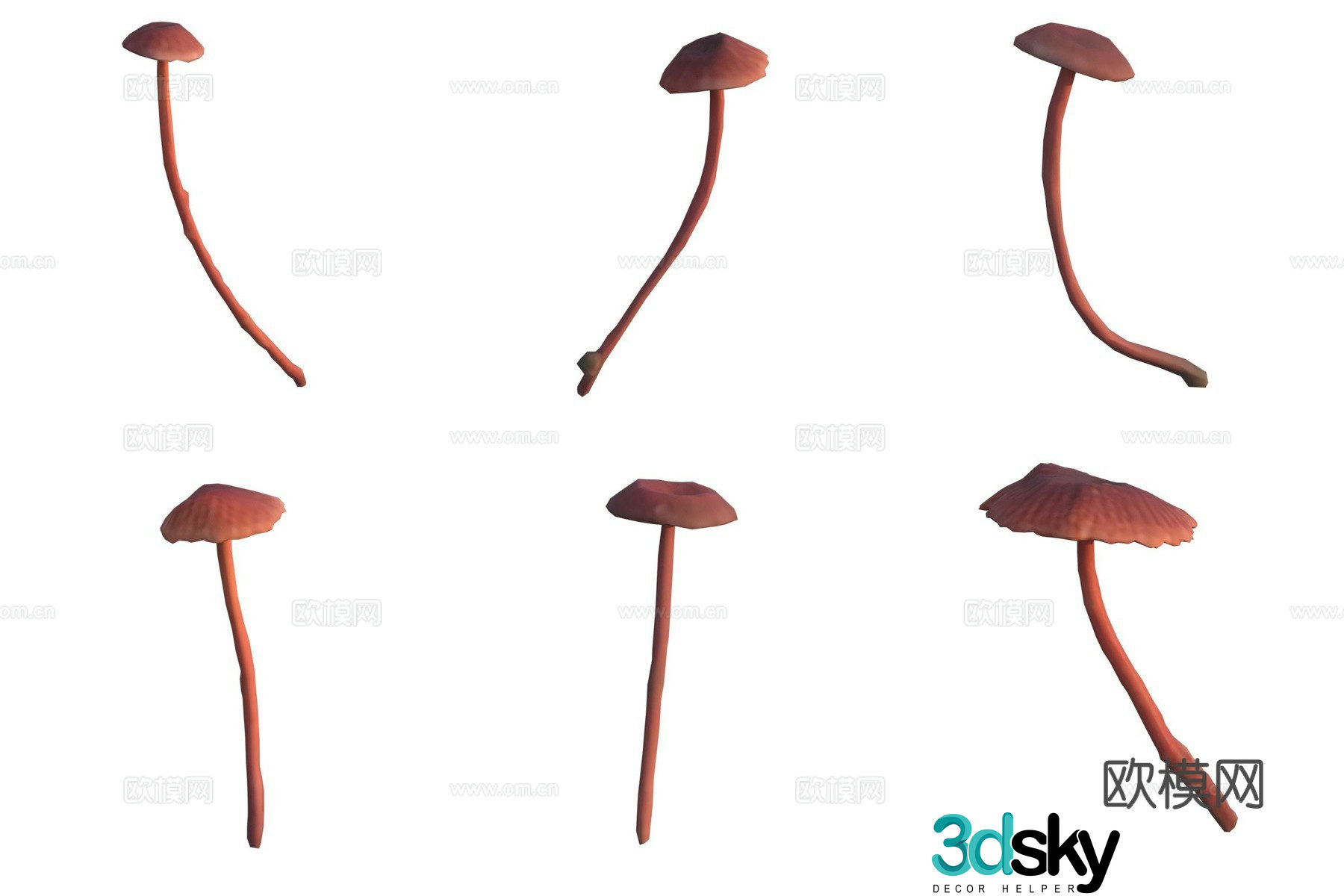 Mushroom fungi 3D model
