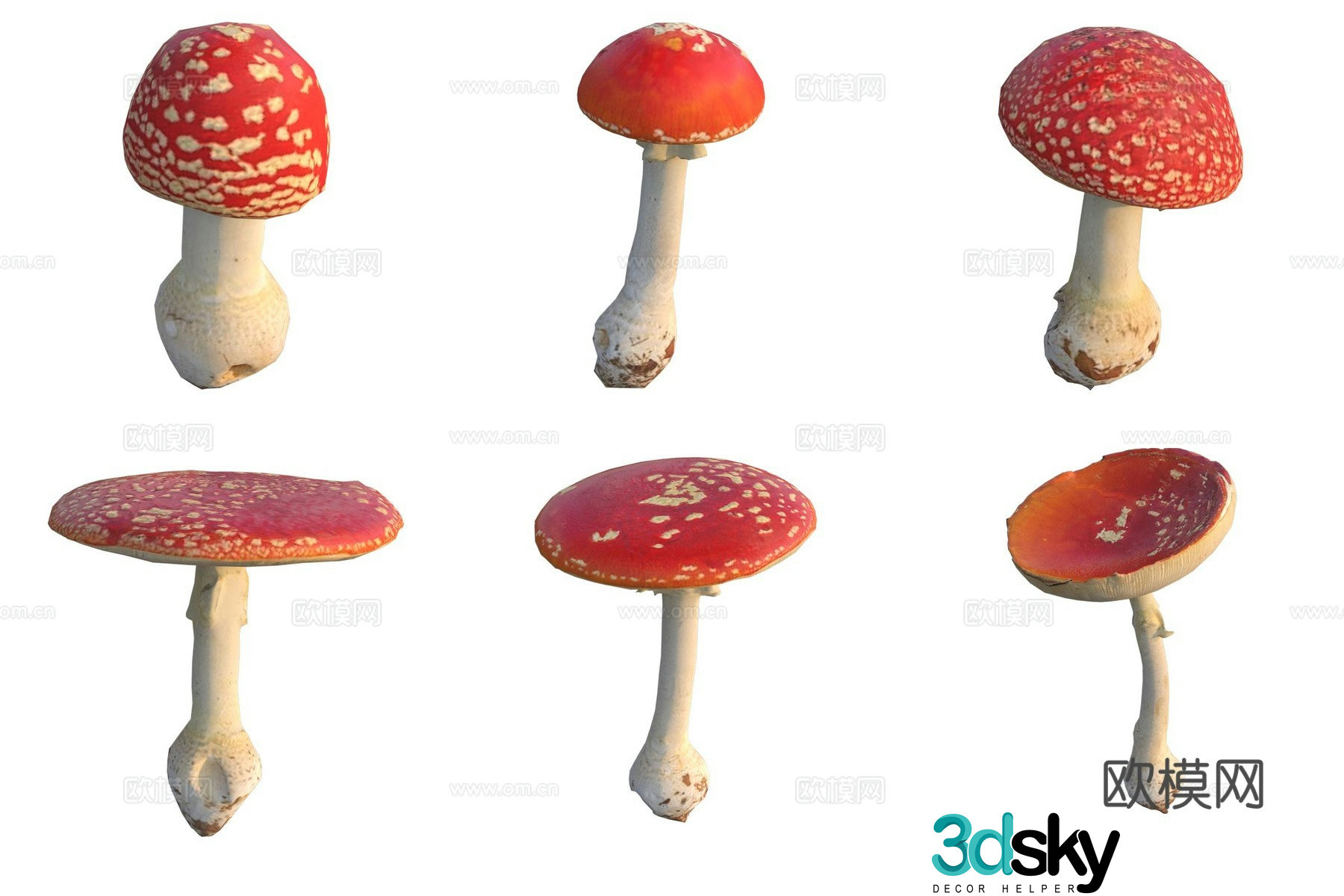 Red mushroom fungi 3D model