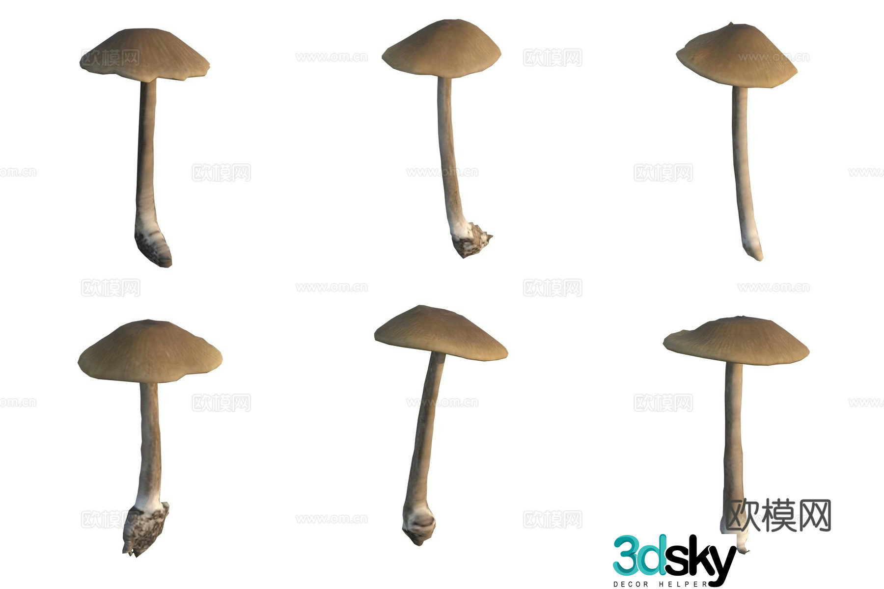 Mushroom fungi 3D model
