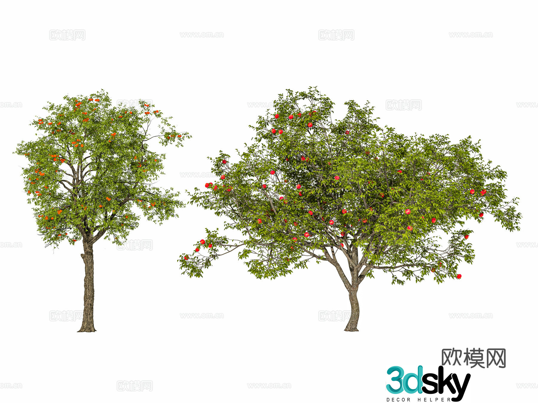 Modern tree Street tree Fruit tree Landscape tree Garden tree Persimmon tree Apple tree Pomegranate 3d model
