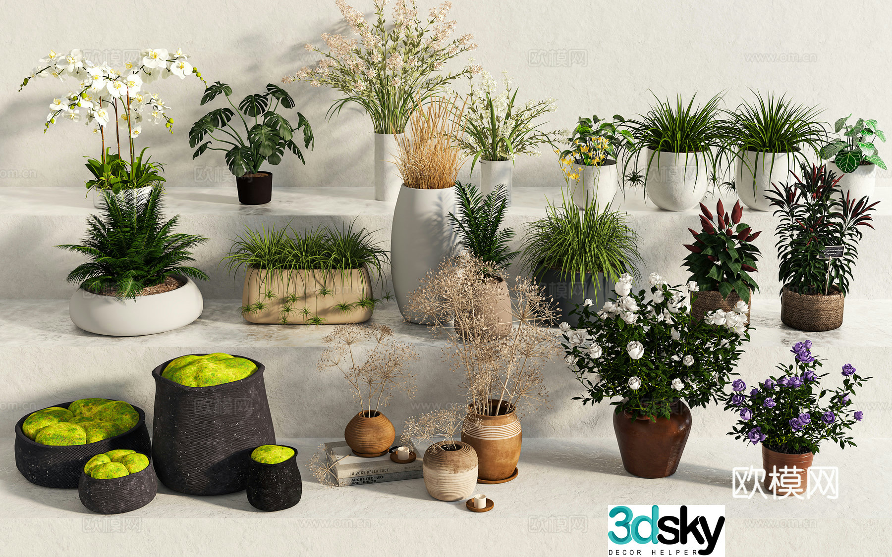 Green plants potted plants flowers steps flower bed 3d model