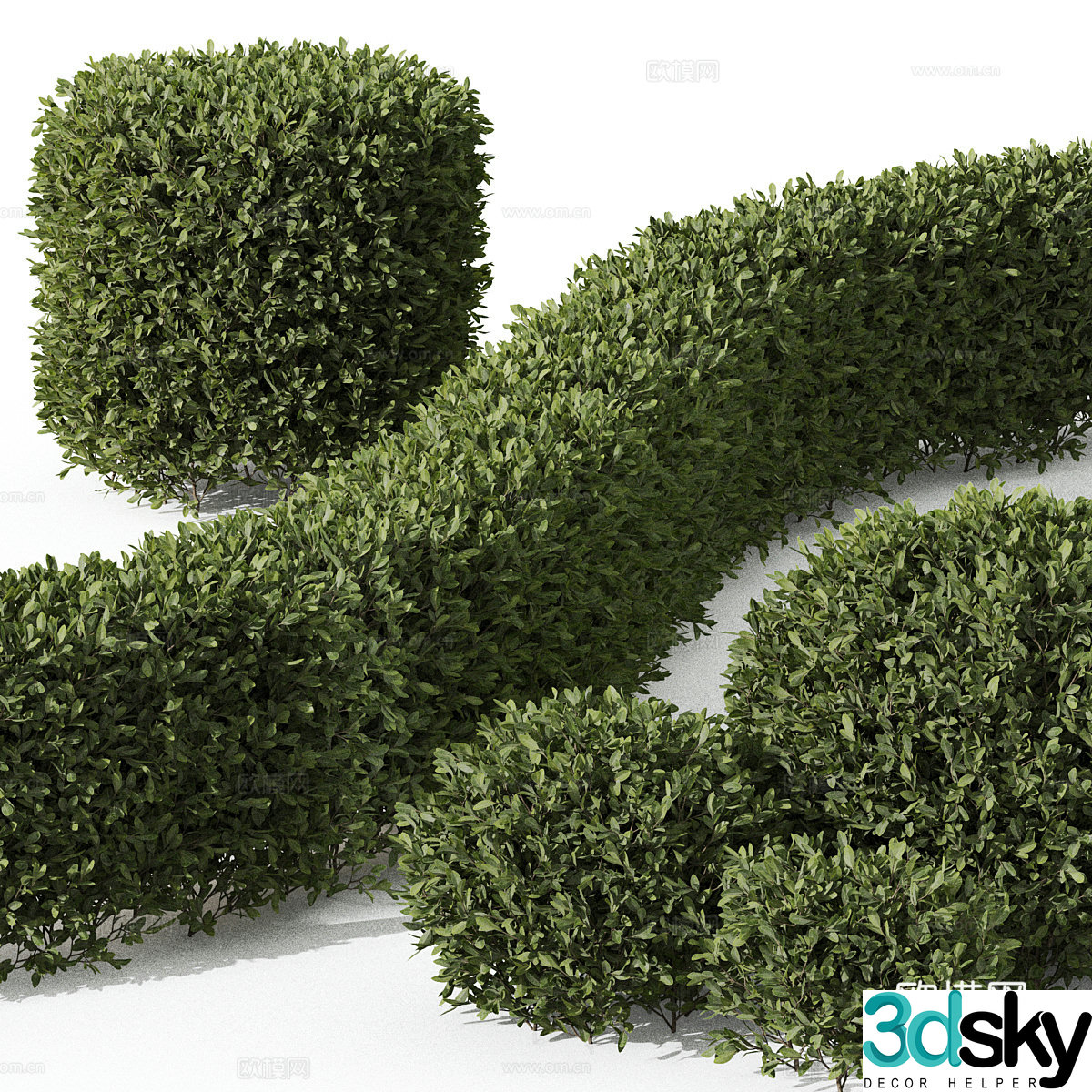 3d model of bushes