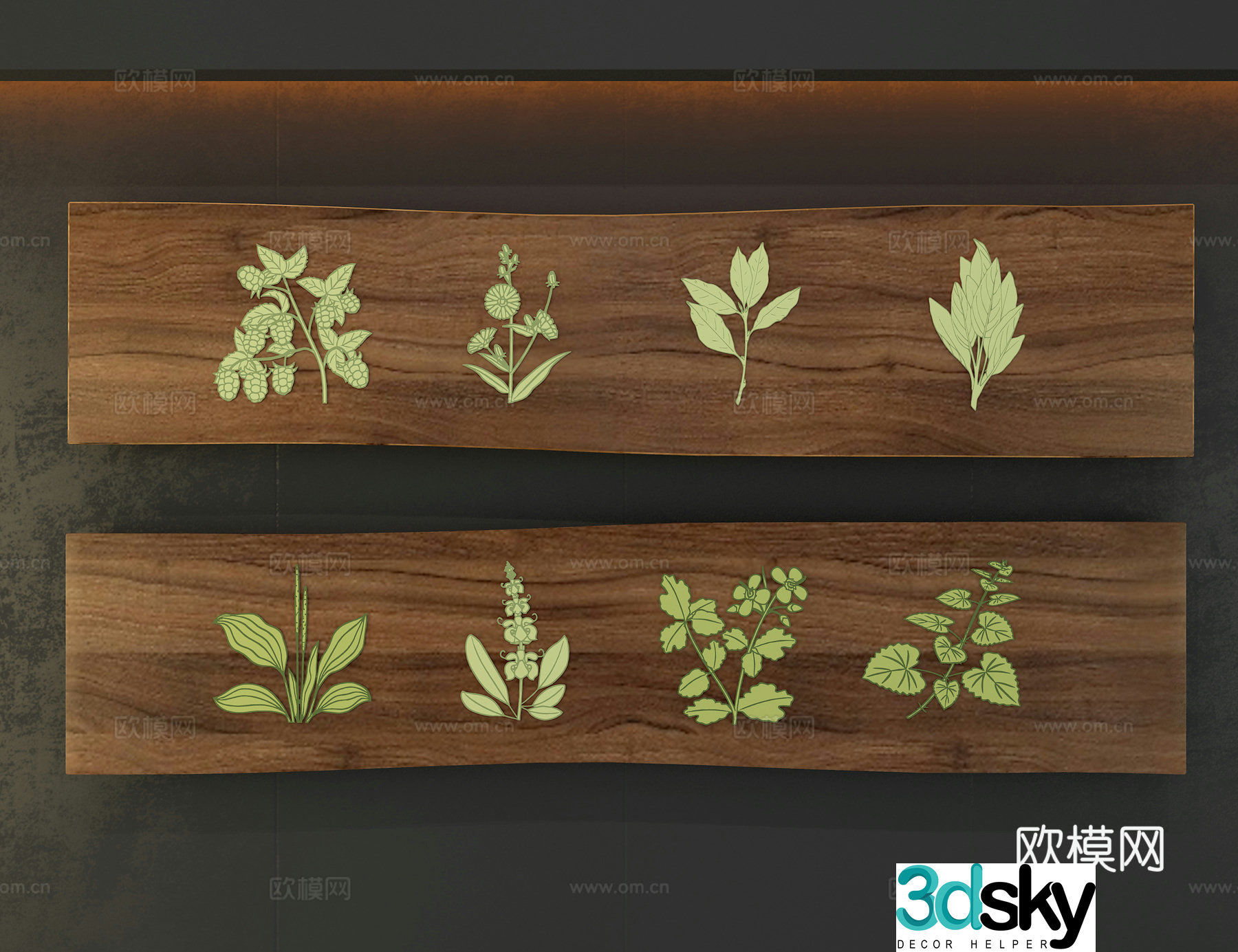 Plant specimens 3D model