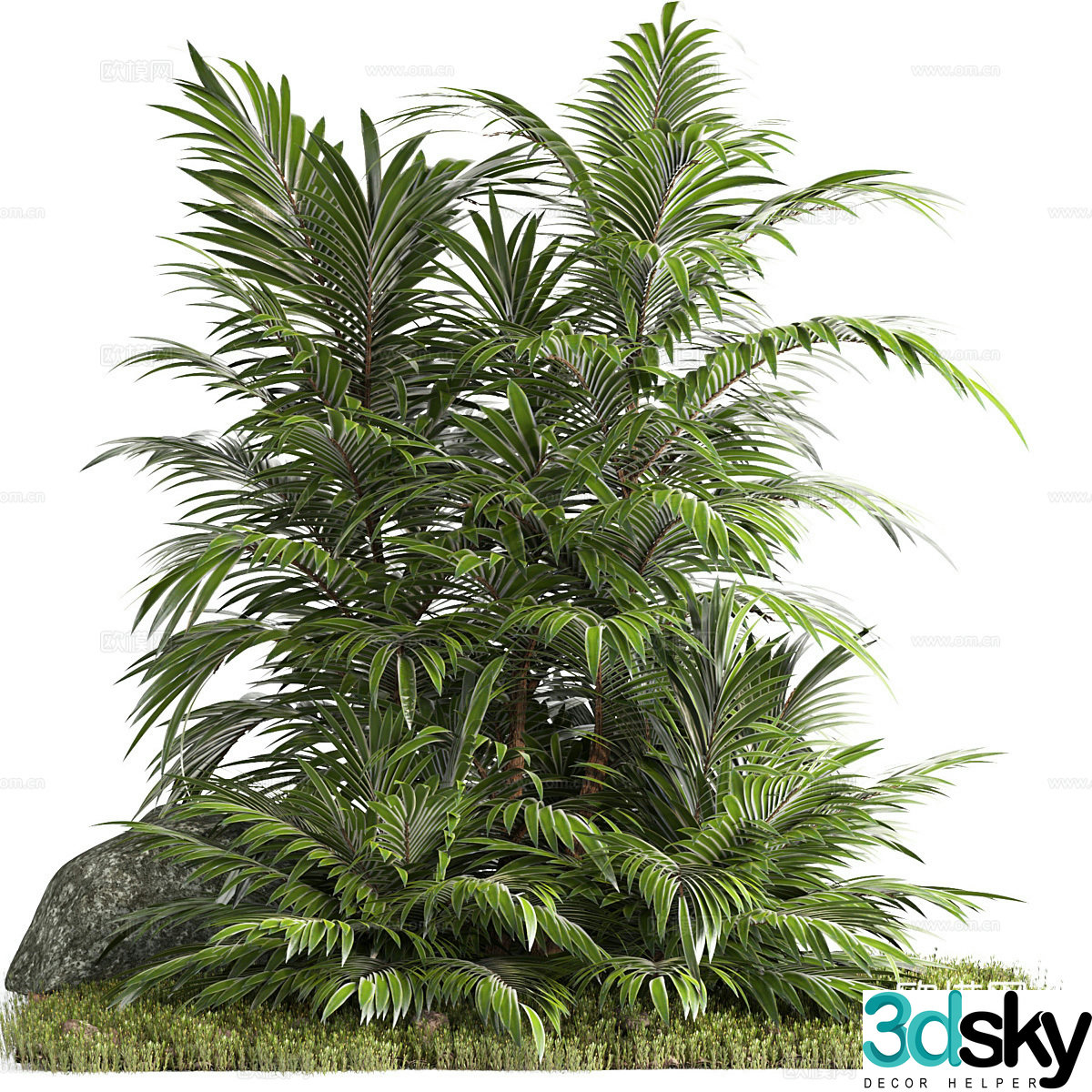 Modern garden green plants Palm tree 3d model