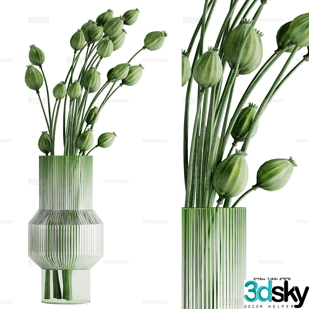 Green plant hydroponic vase flower 3d model