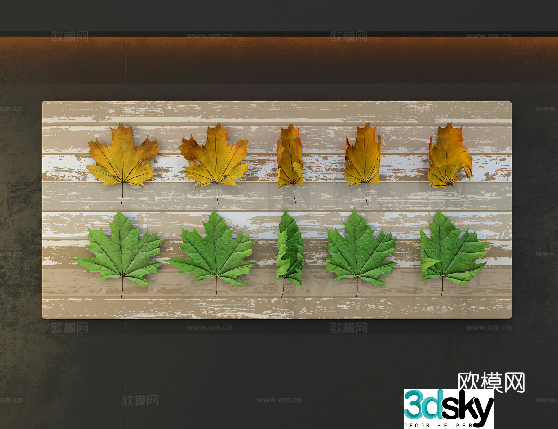 Leaf Specimen 3D Model