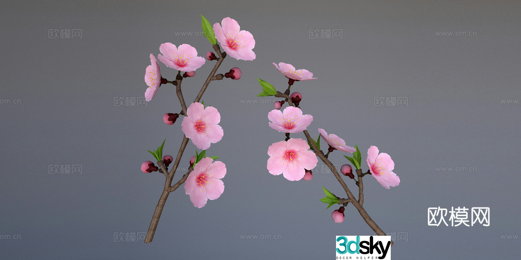 Peach blossom Peach tree 3d model