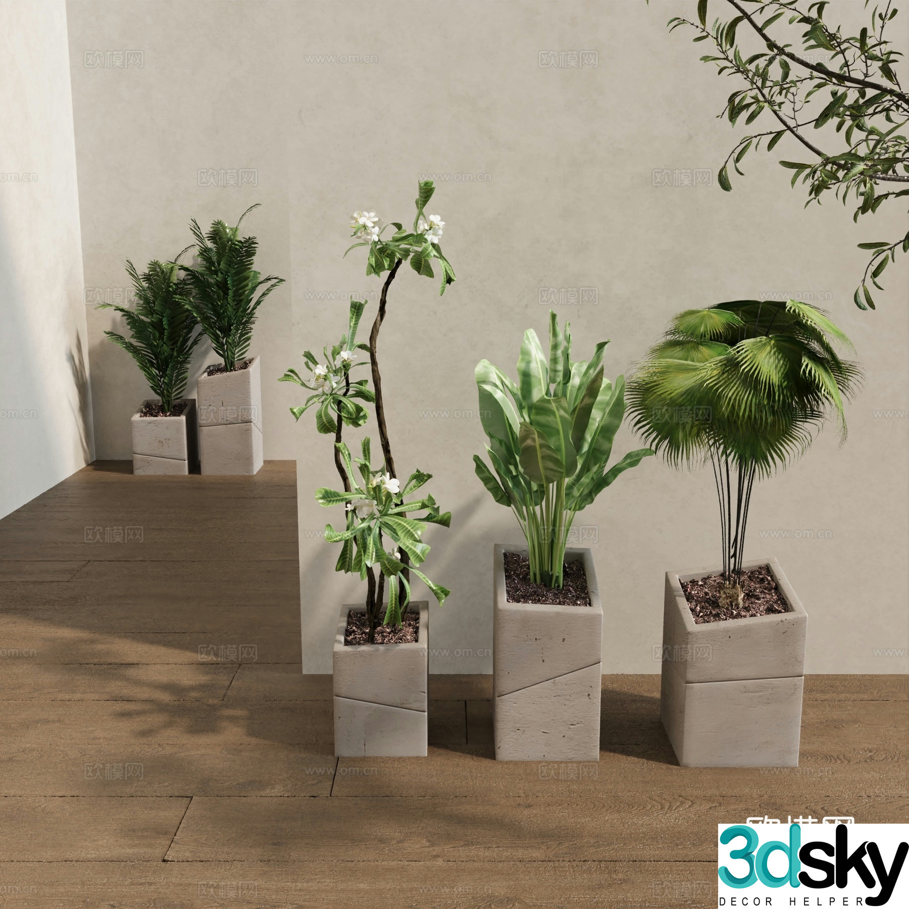 Potted bonsai 3d model
