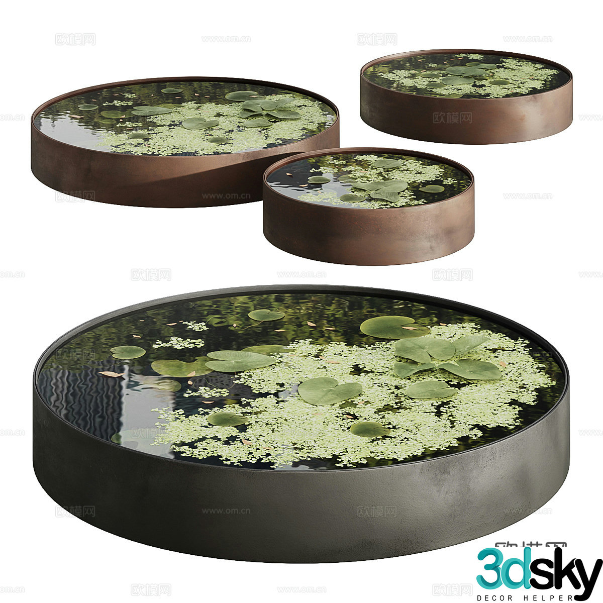 Garden pond water lily duckweed 3d model