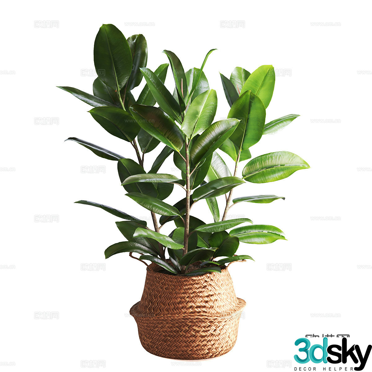 New Chinese indoor banyan tree bonsai 3D model