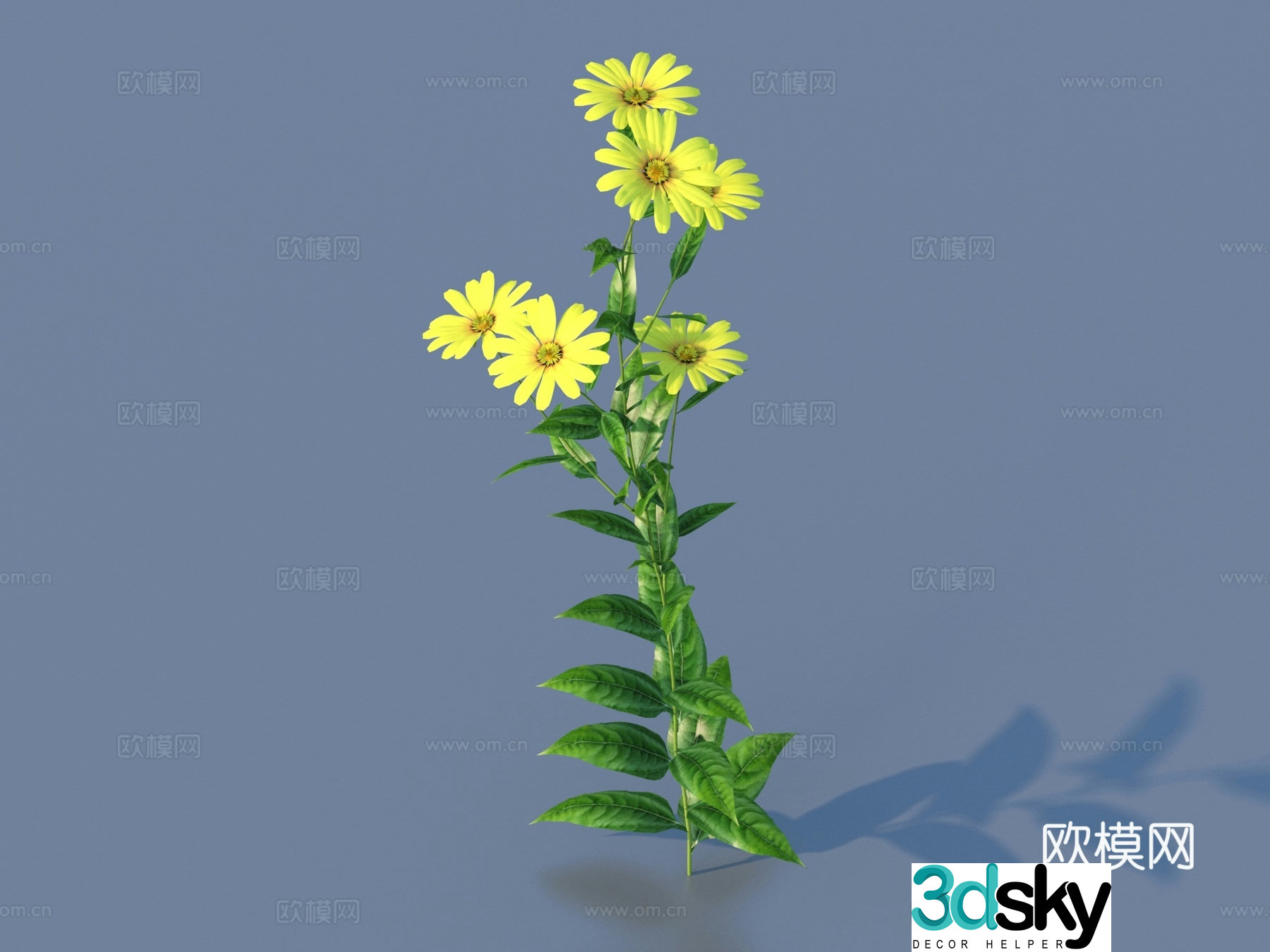 Flowers Wild Flowers Green Plants Flowers 3D Model