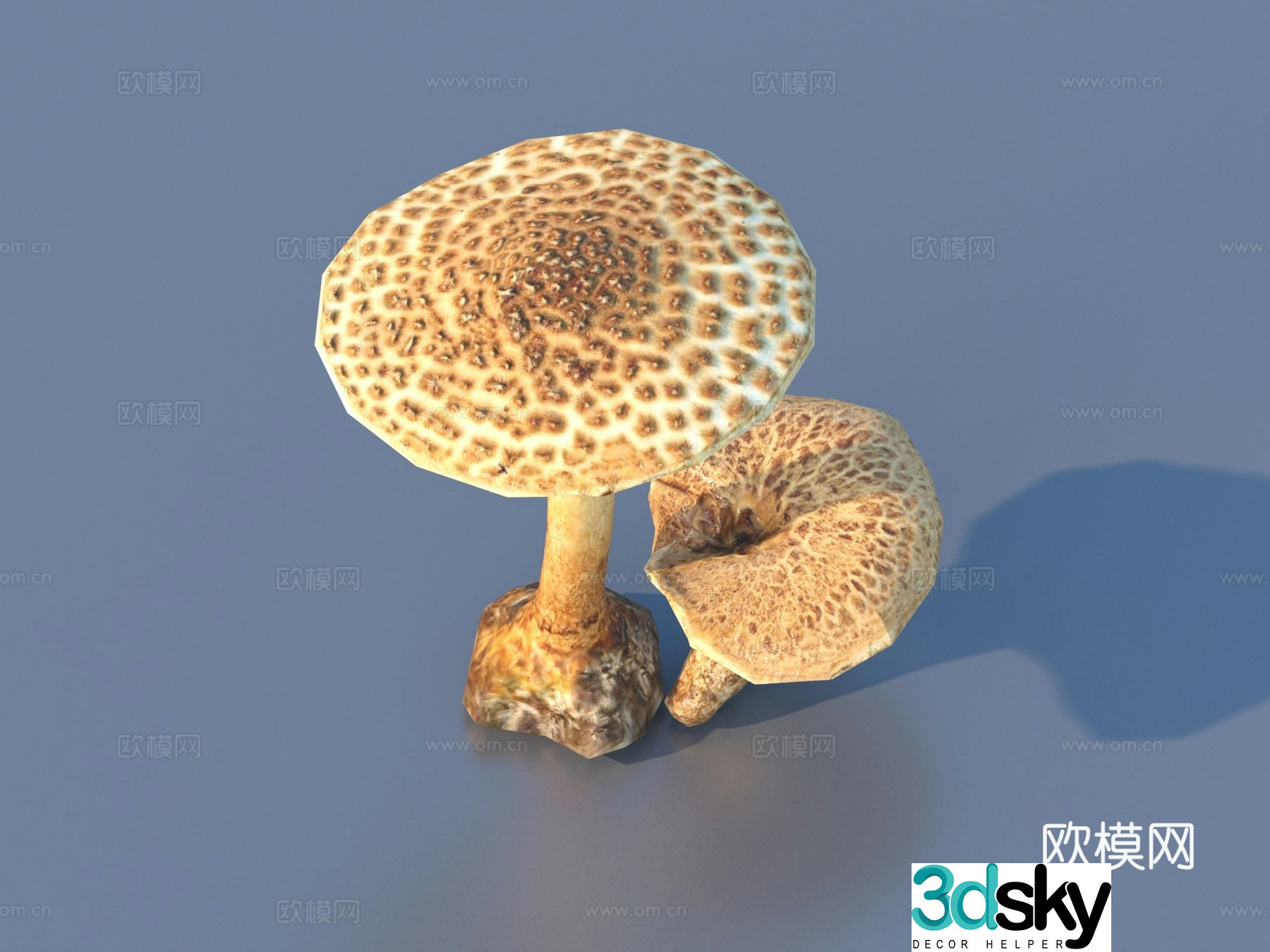 Mushroom Straw Mushroom Poisonous Mushroom 3D Model
