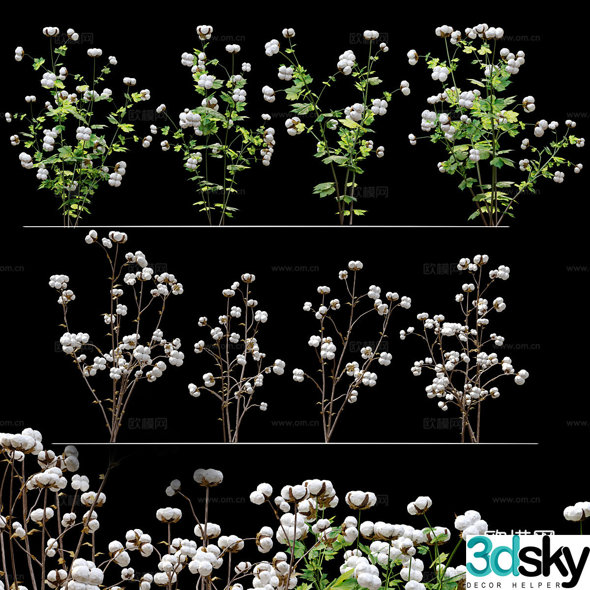 Cotton 3d model