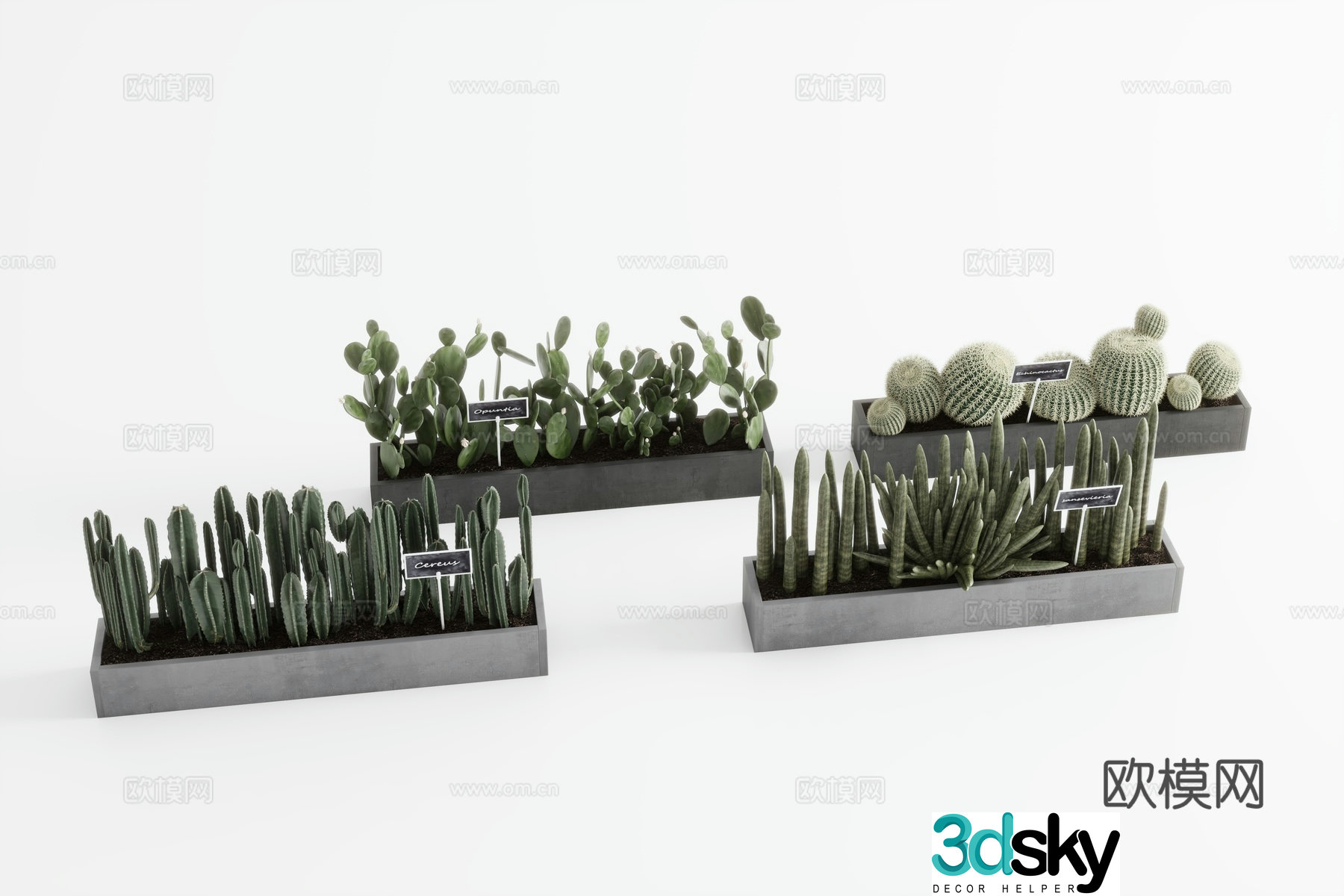 Plants Green Plant Wall Bamboo Landscape Tree 3D Model
