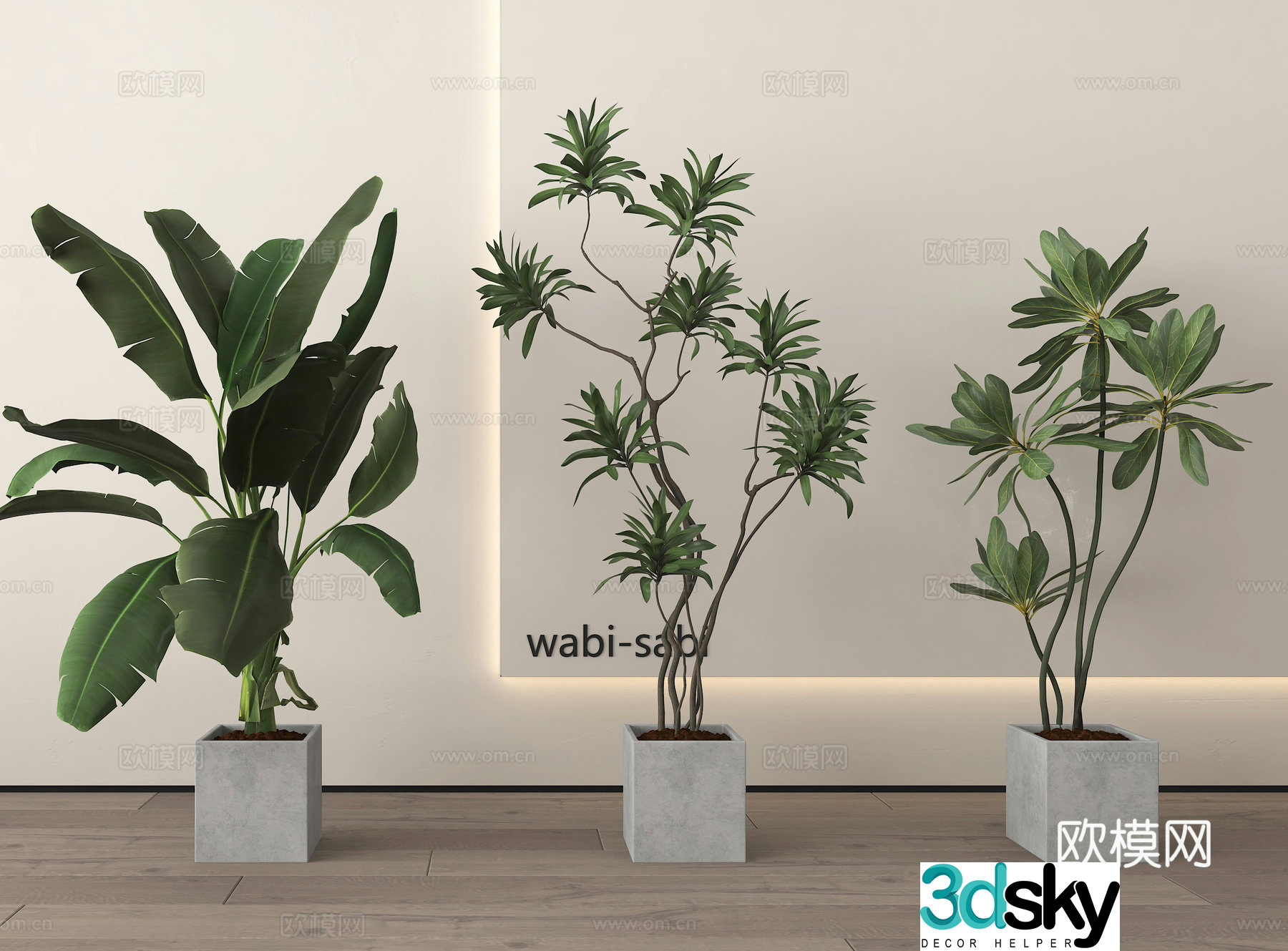Modern potted plants bonsai green plants 3d model