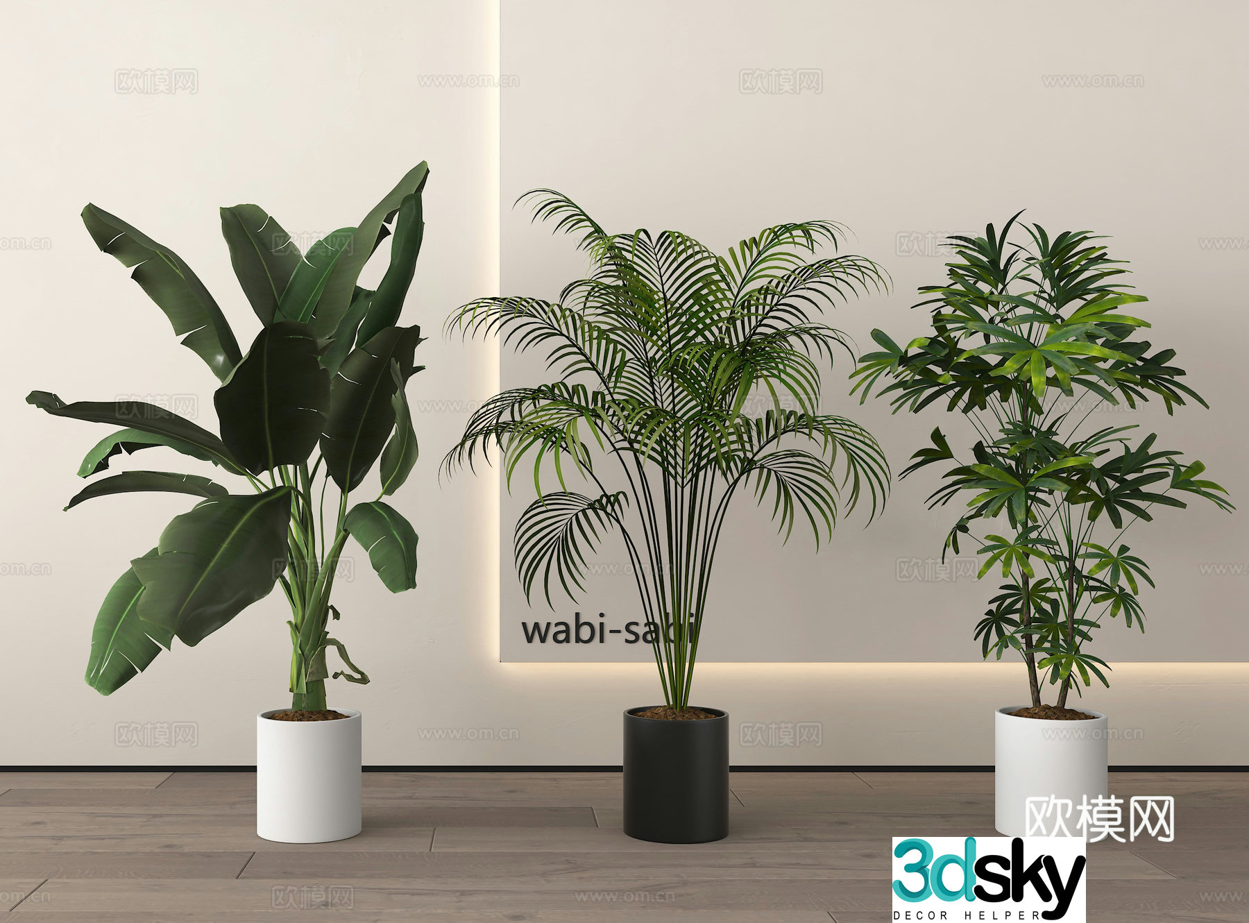 Modern potted plants bonsai green plants 3d model