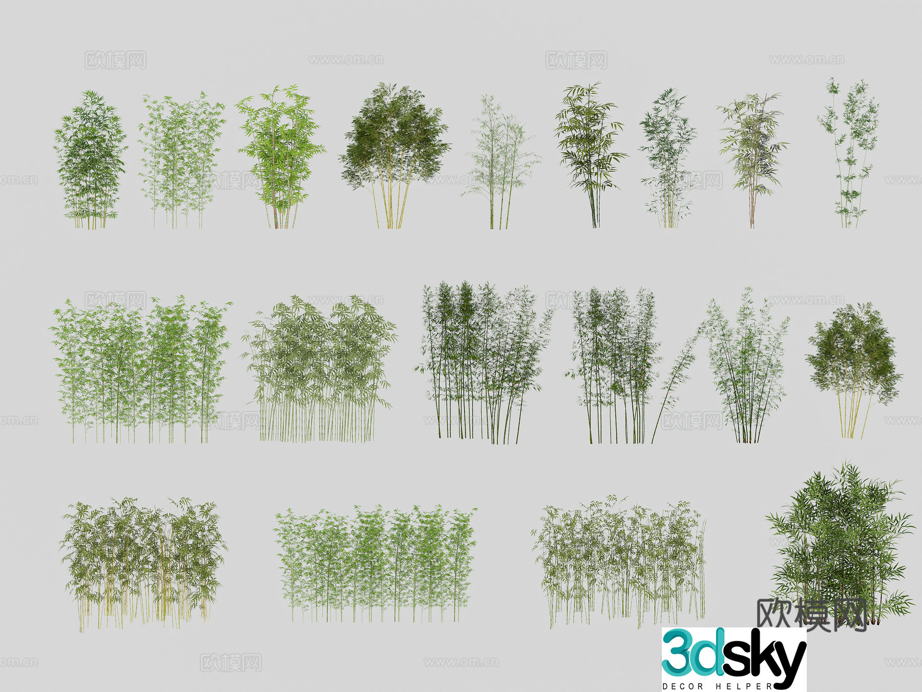 Bamboo Bamboo Landscape Bamboo Garden Bamboo 3D Model