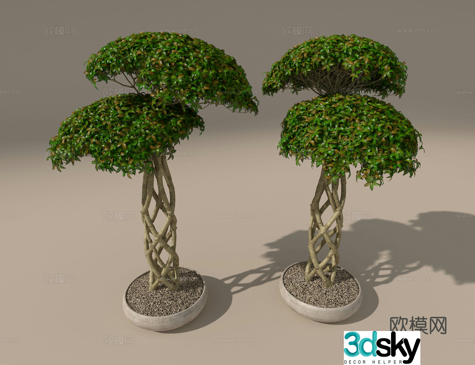 Potted green plants 3D model