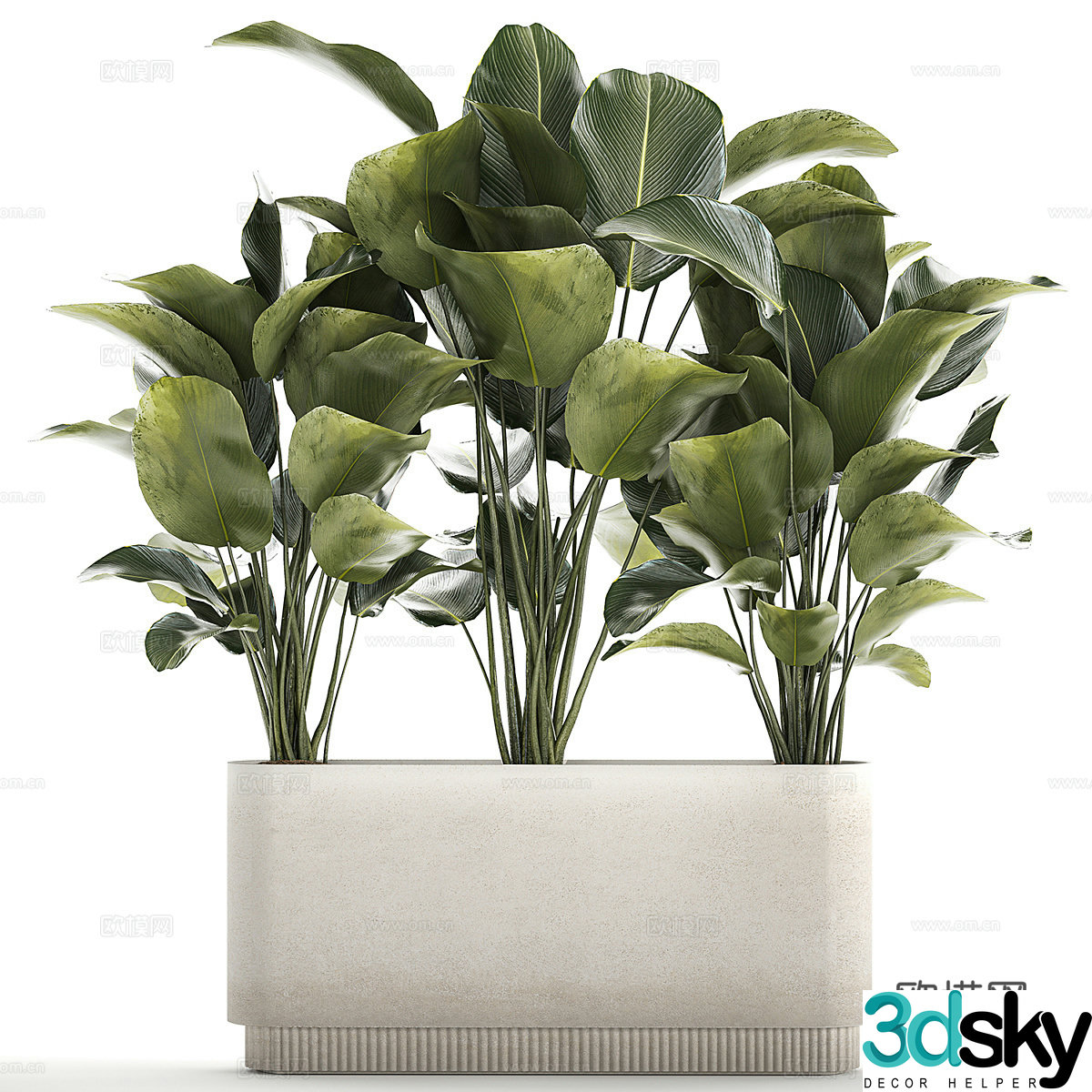 Modern green plant potted 3D model