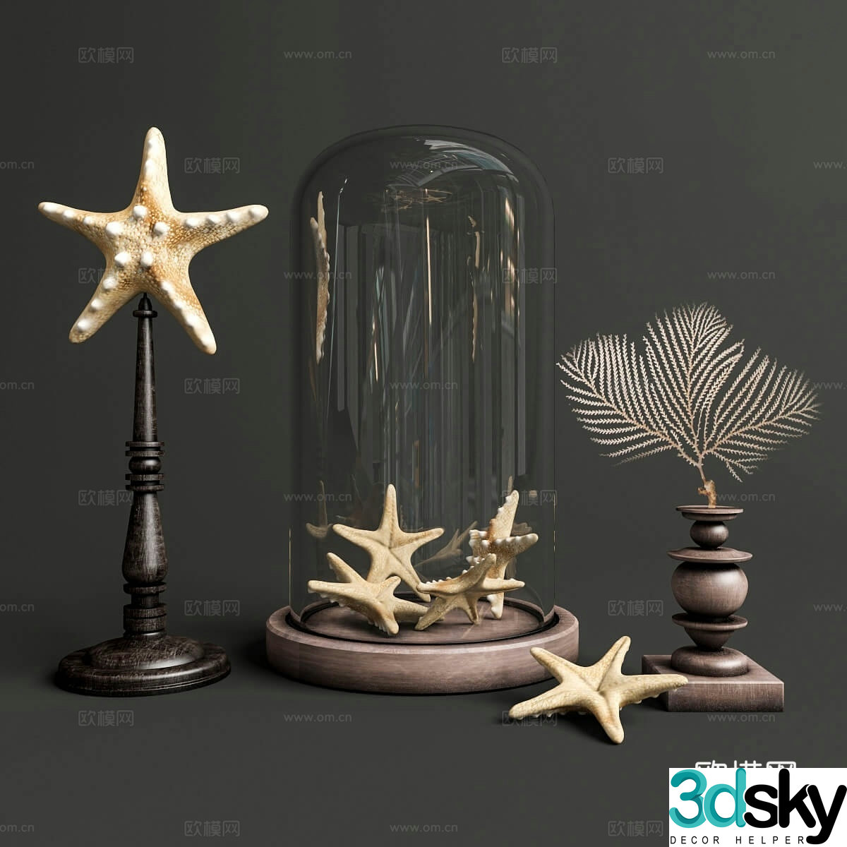 Starfish coral ornament 3d model